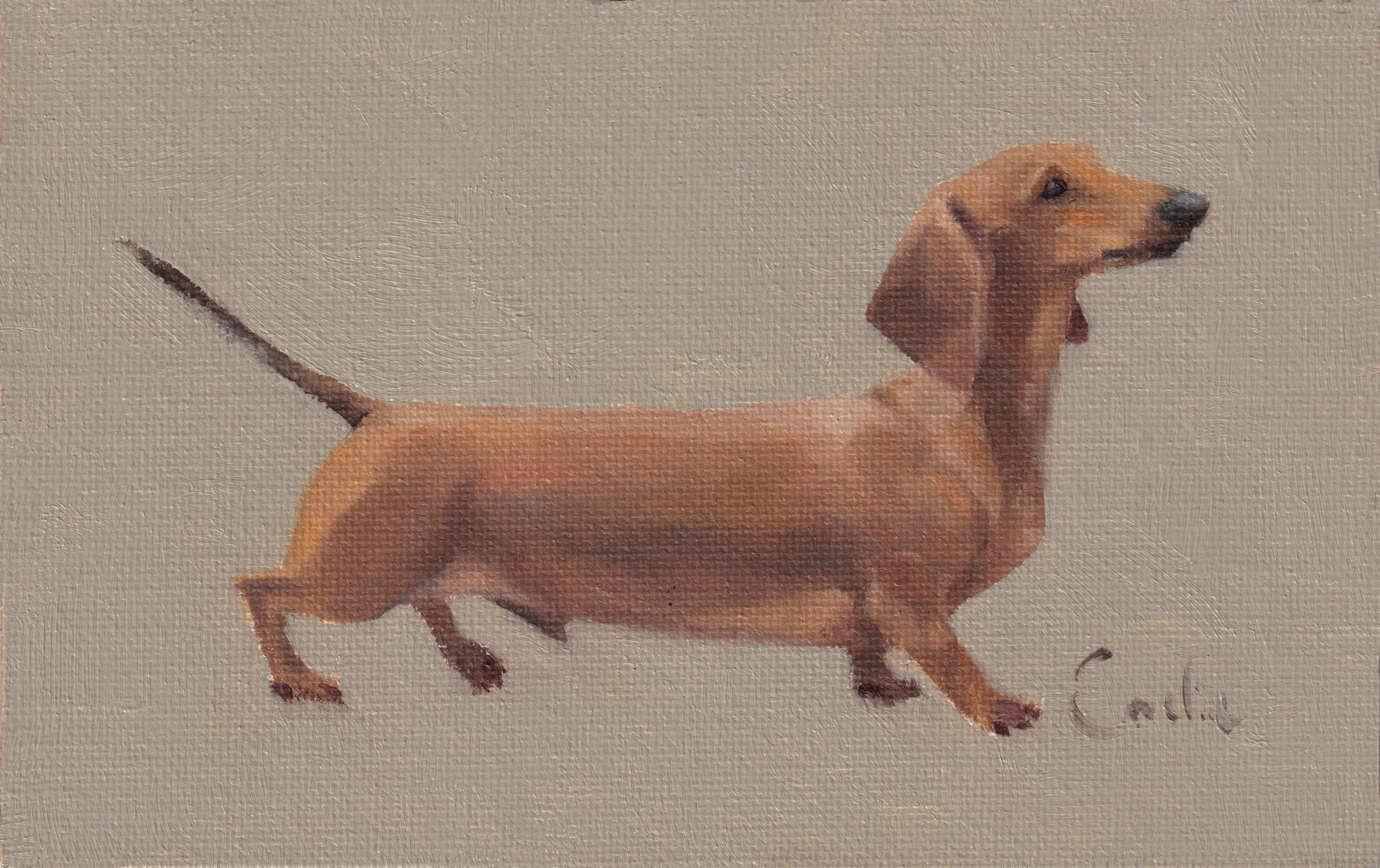 Cooper low res.jpg