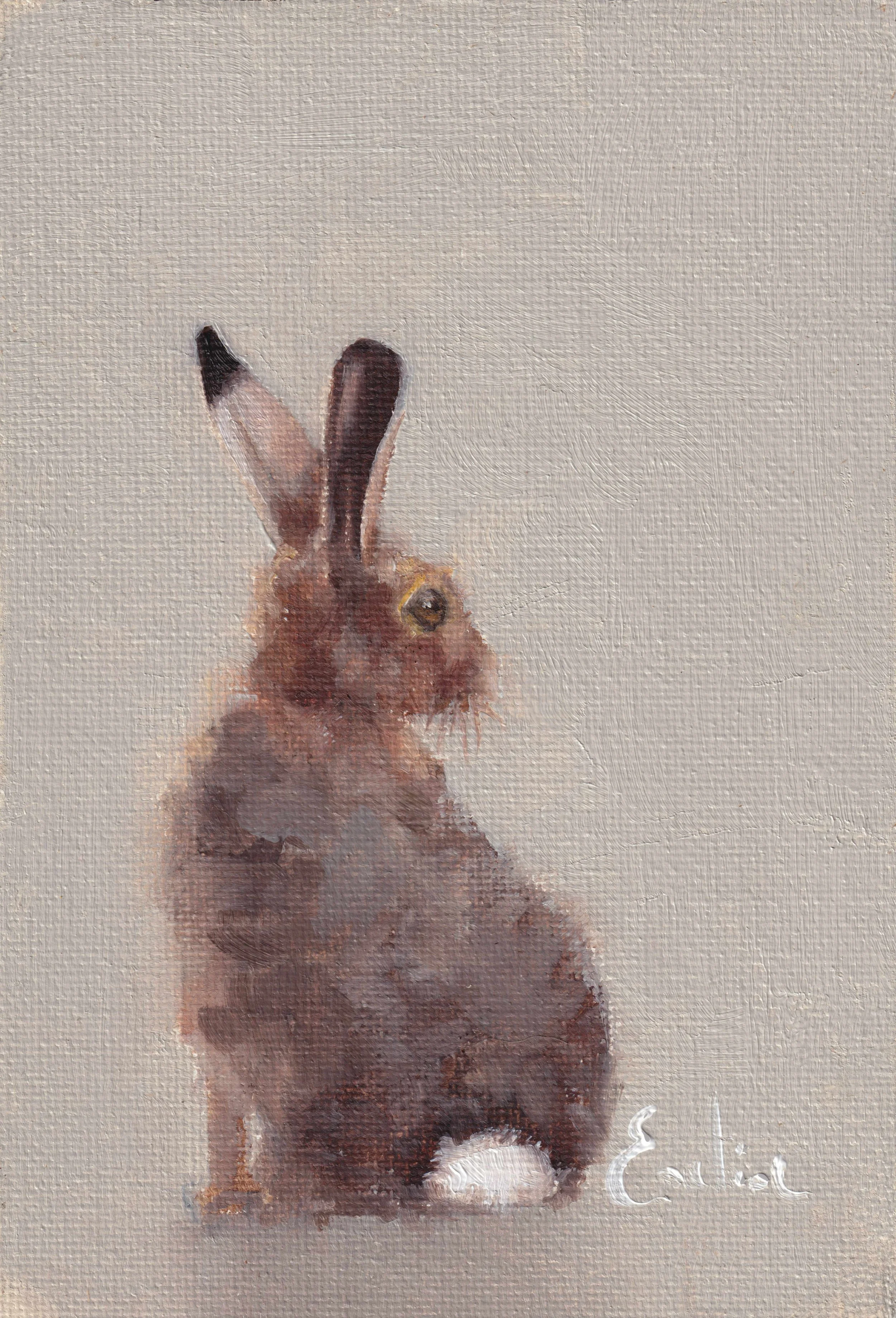 BN006 Brown Hare.4x6 low res.jpg