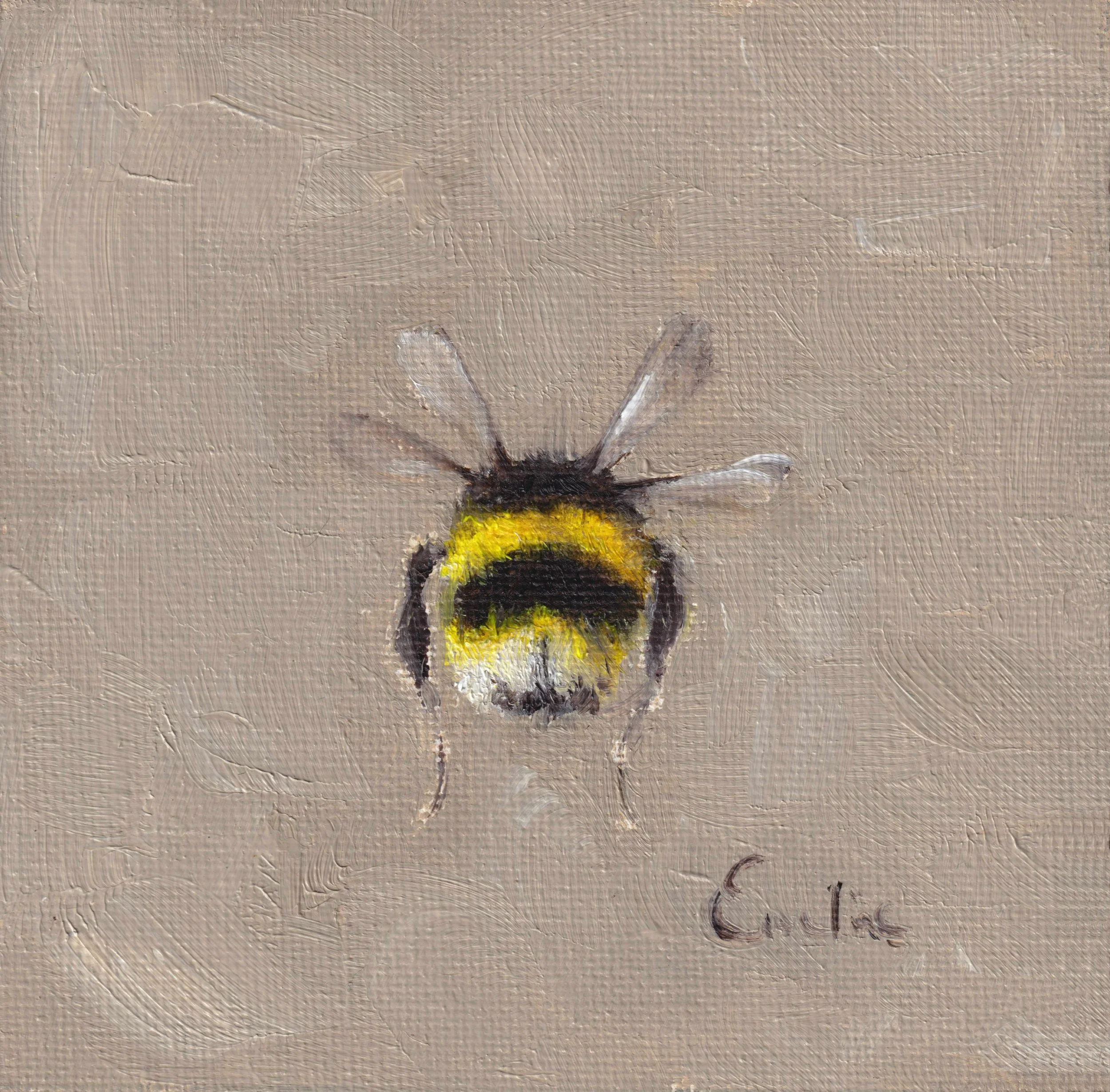 IN003 Little Bumblebee4x4 low res.jpg