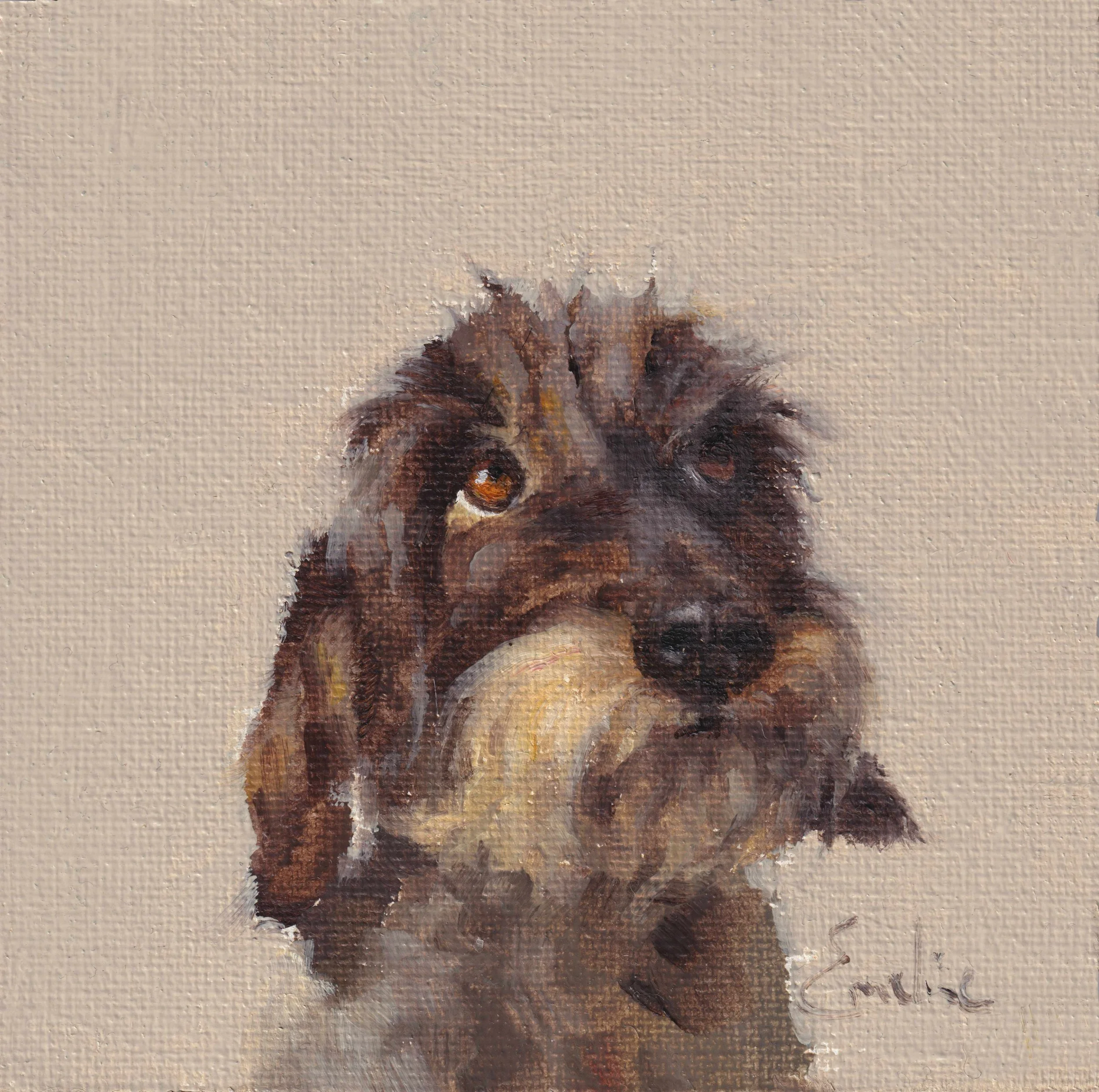 Greetings Card - Freddie