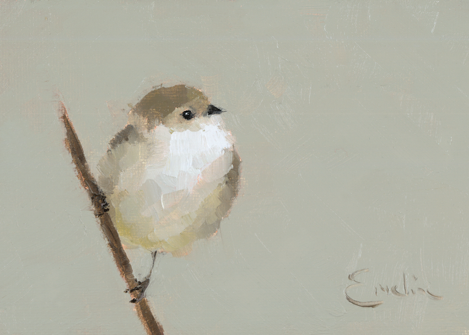 Screenshot BD002 Brown Bird 2025-05-20 at 14.15.13.png