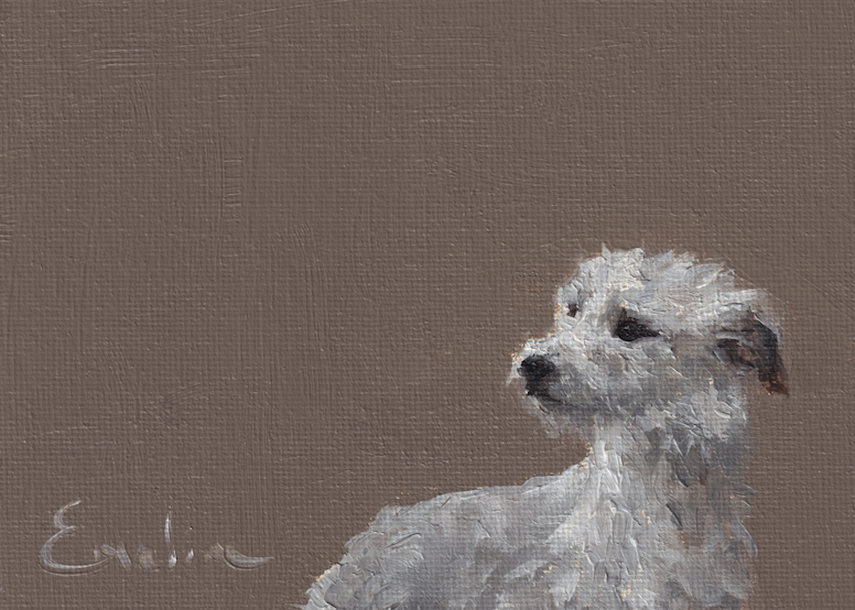 Greetings Card – Bedlington Terrier Whippet Cross