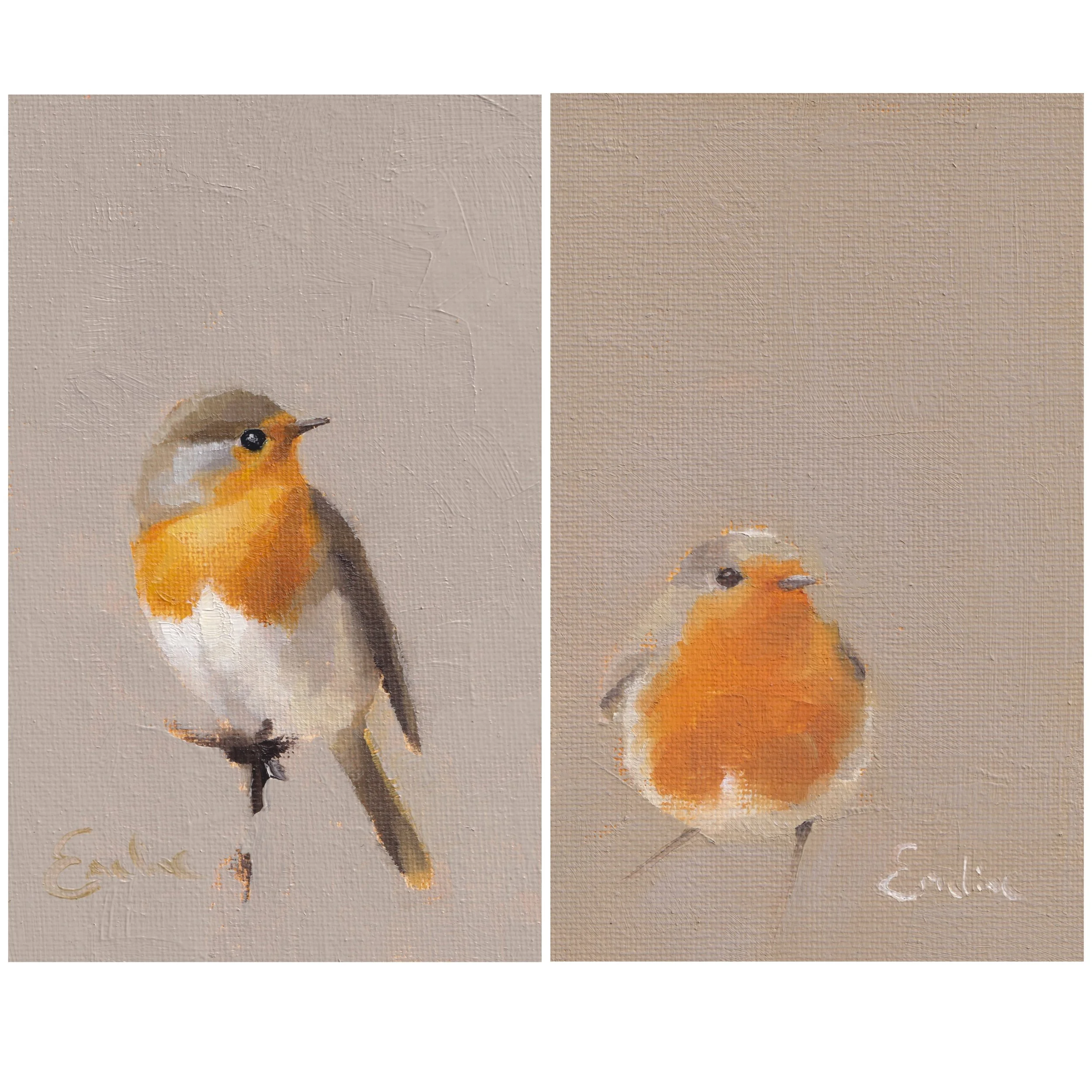 Greetings Cards - Pack of 6 - 3 Robin and 3 Winter Robin
