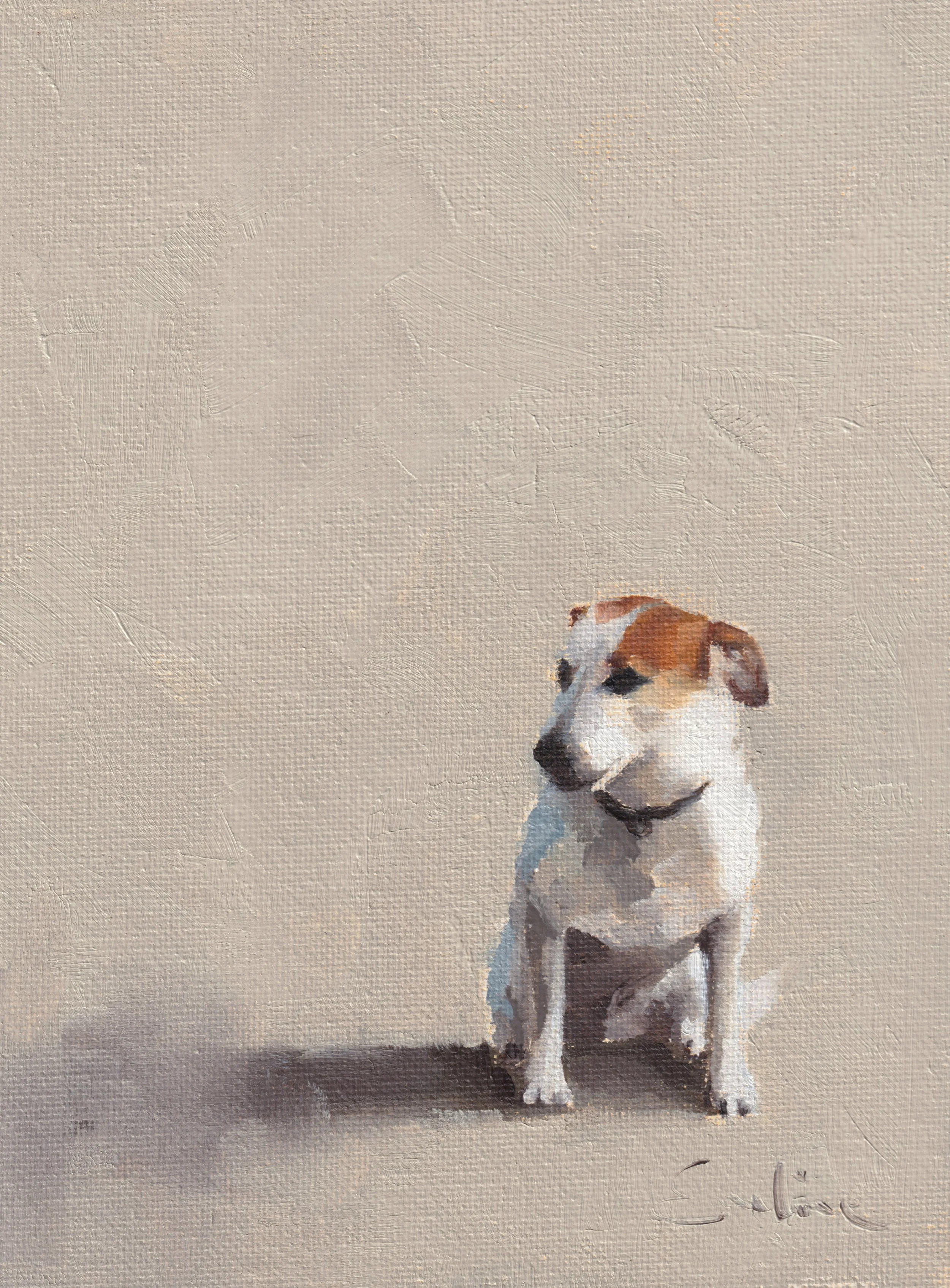 DS027 Wet Terrier on the Beach .jpg