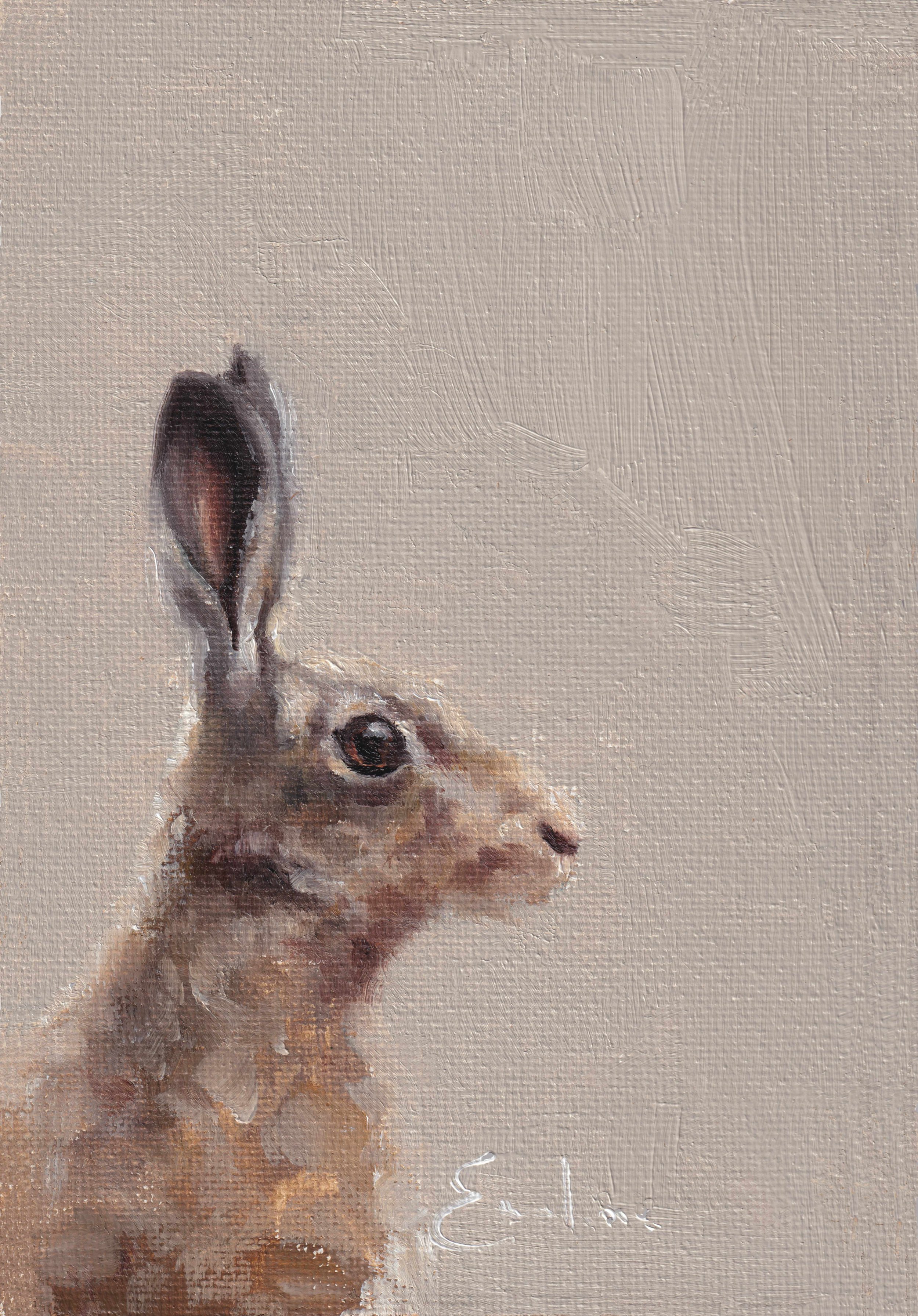 BN007 Soft Hare 4x6.jpg