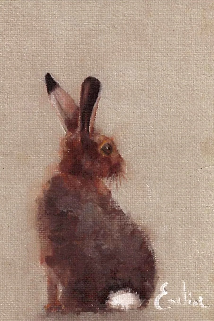 Greetings Cards - Brown Hare (Pack of 3)