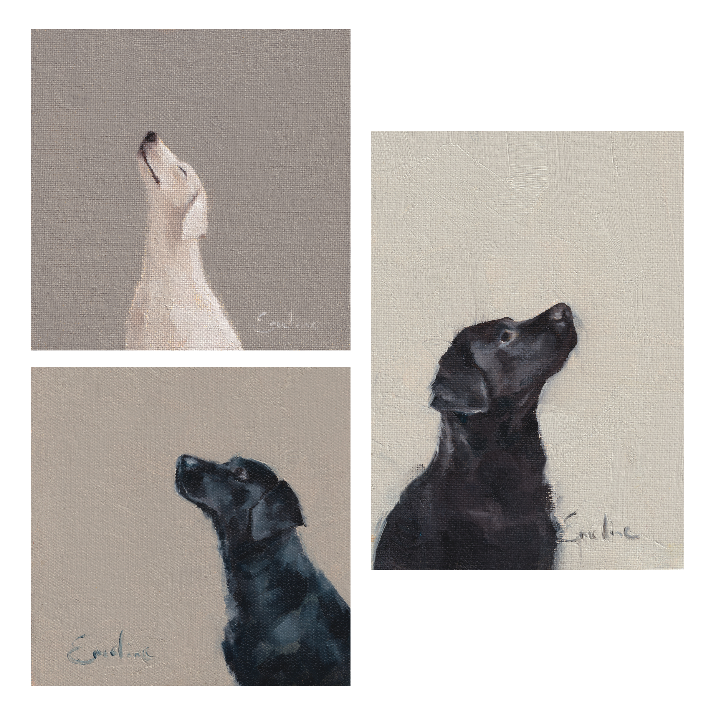 Untitled design-5.png