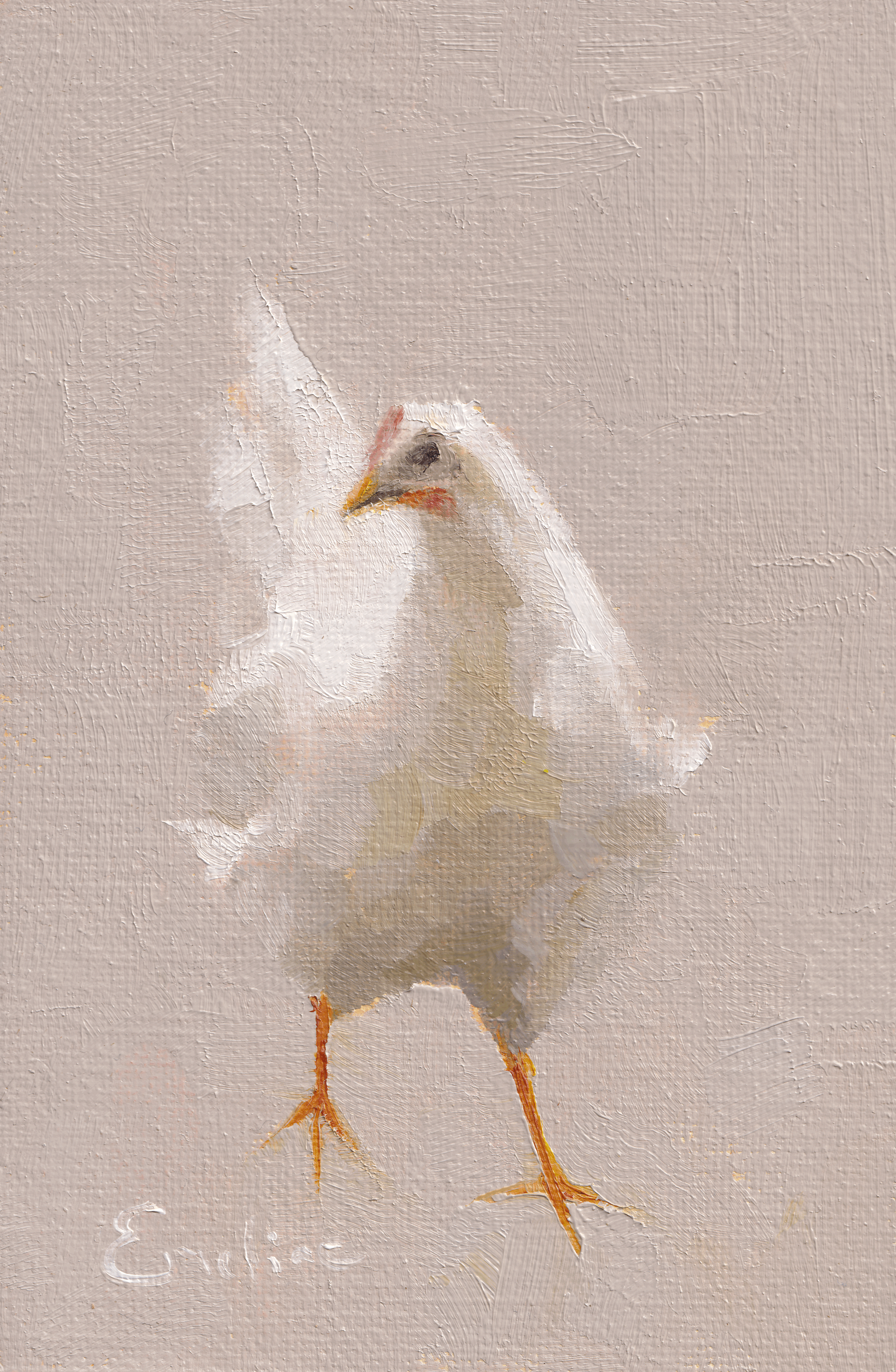 Greetings Card - Spring Chicken