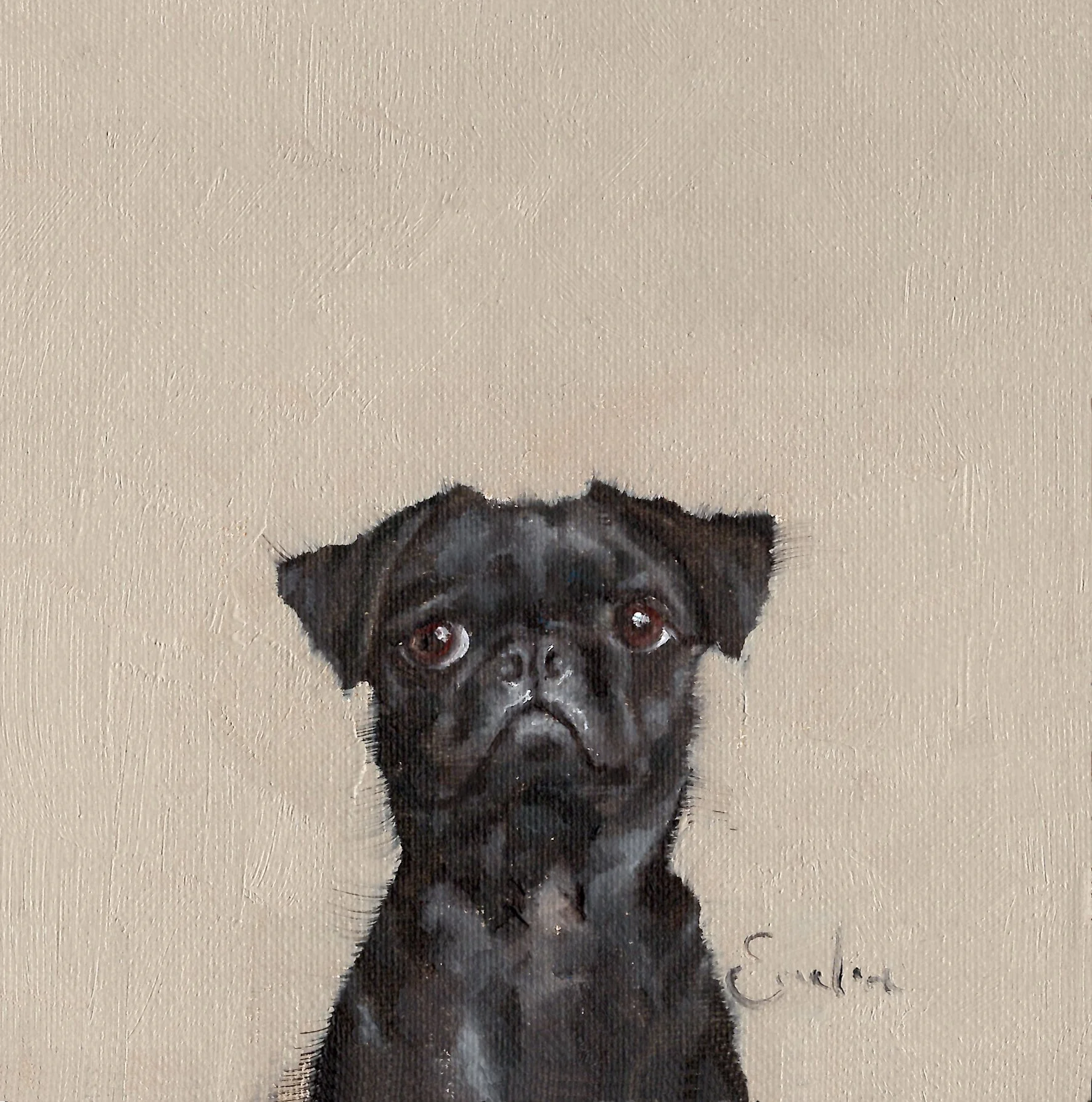 DS054 Pug 6x6.jpg