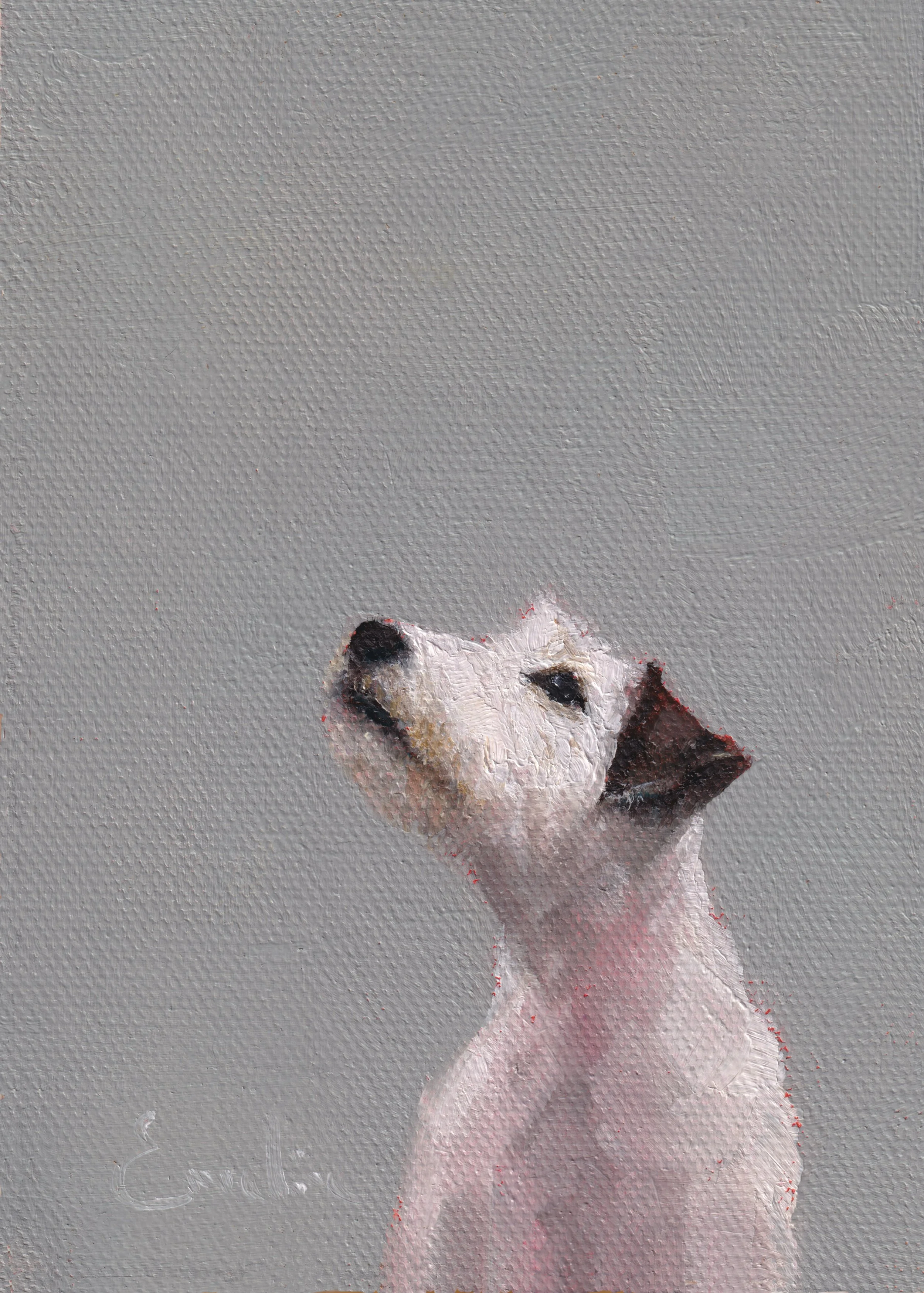 Greetings Card – Please