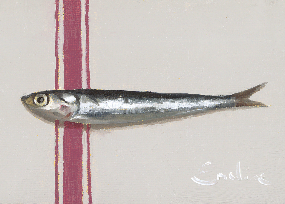 Greetings Cards - Anchovy on an Antique Linen Tea Towel