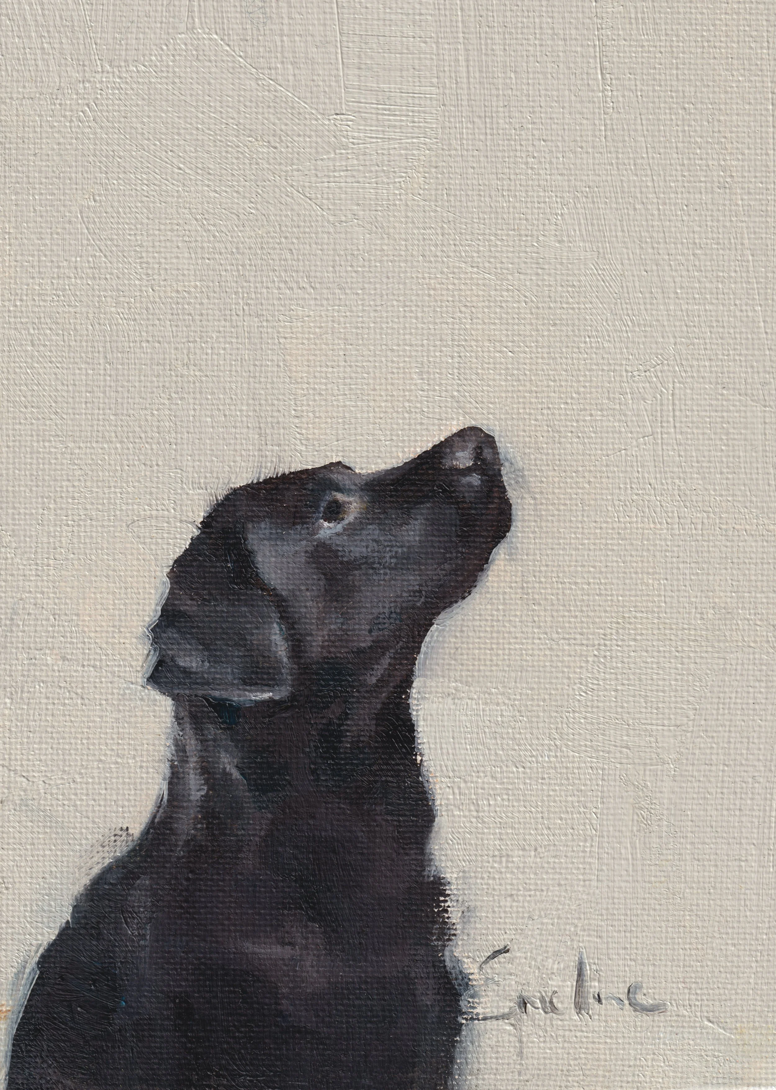 DS036 True Love 5x7 .jpg