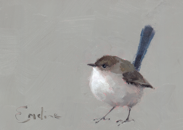 Screenshot BD004 Fairy Wren 2025-05-20 at 14.16.08.png