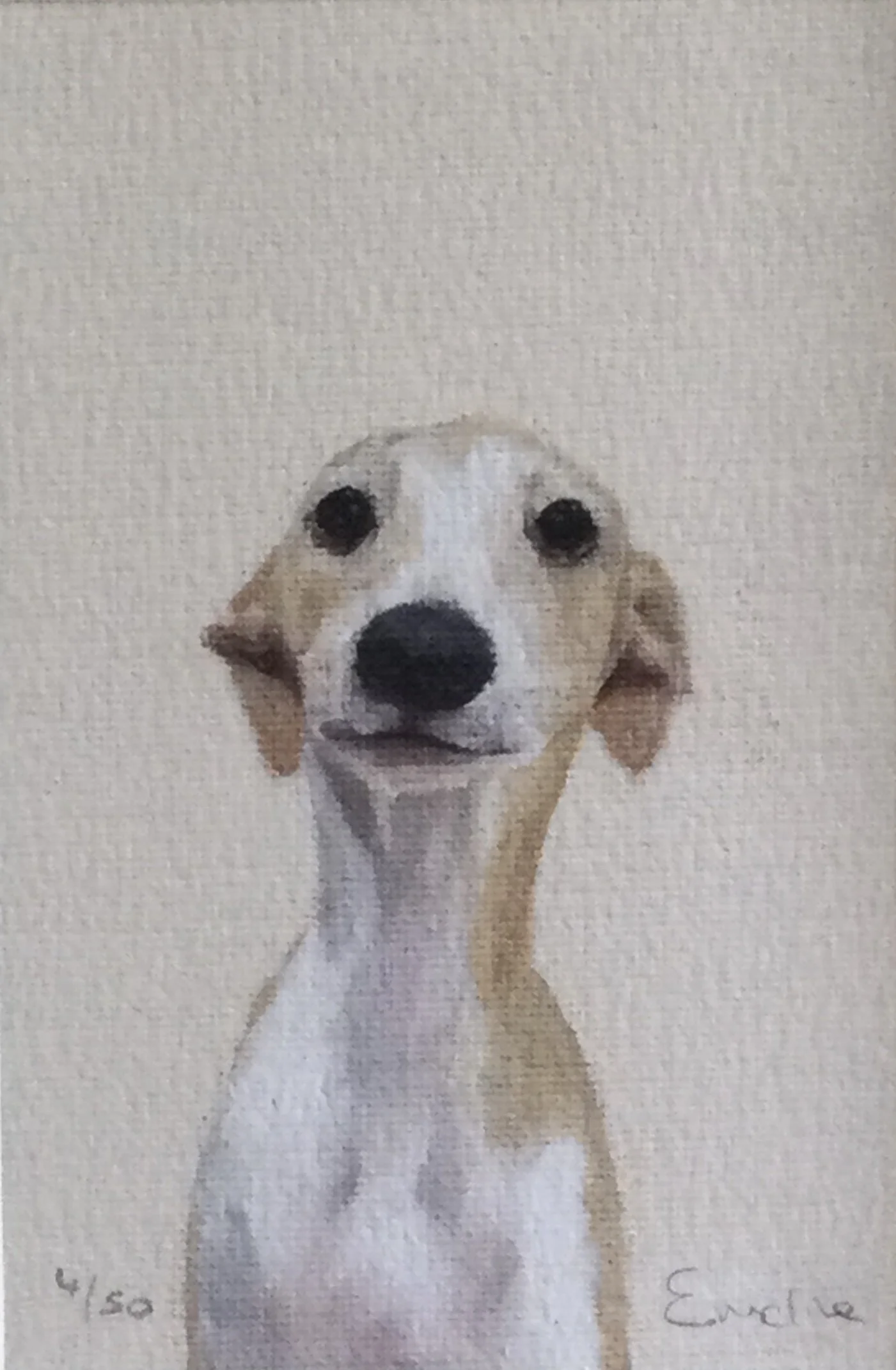 Whippet detail.jpg
