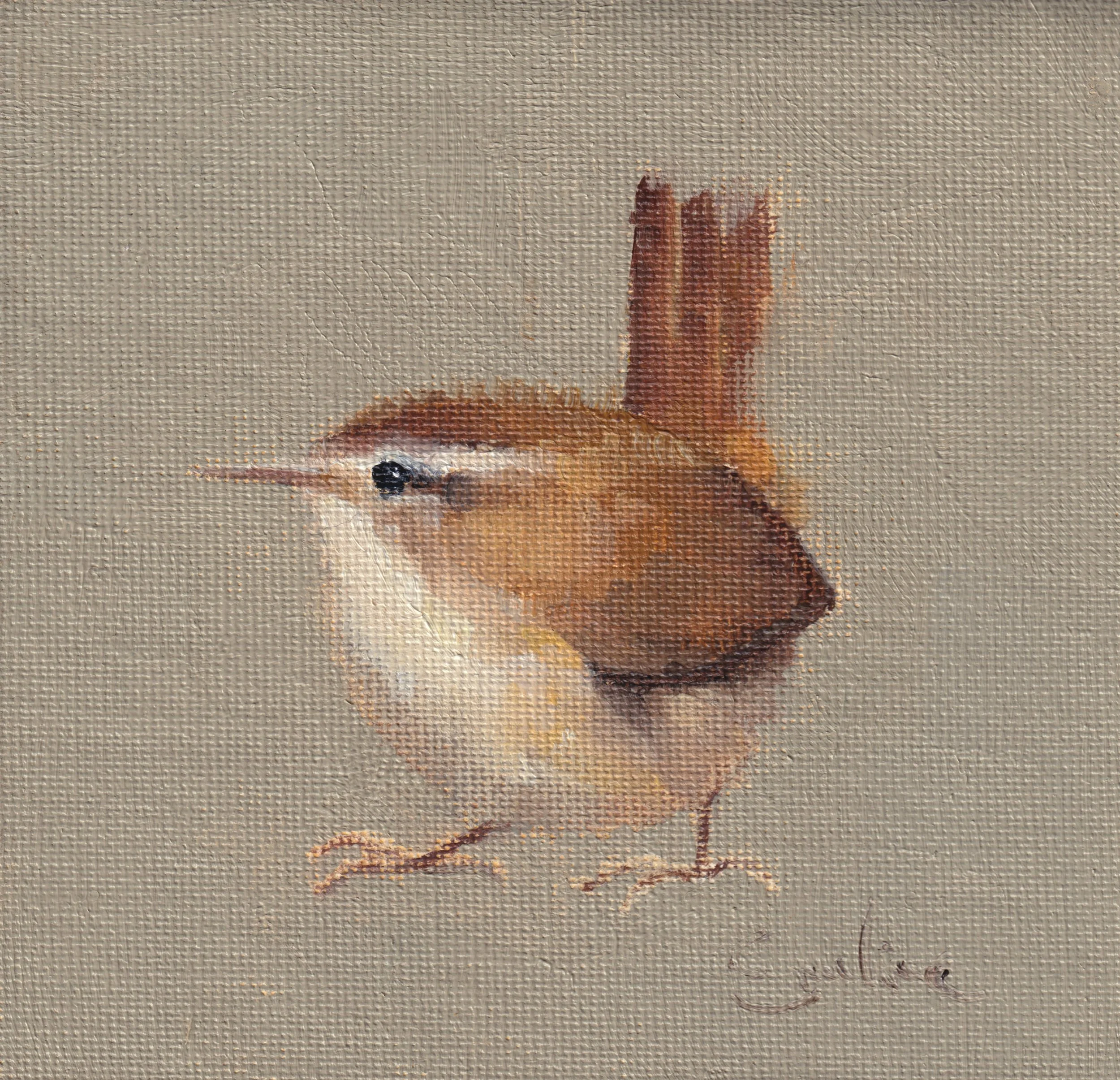 BD024 February Wren.jpg