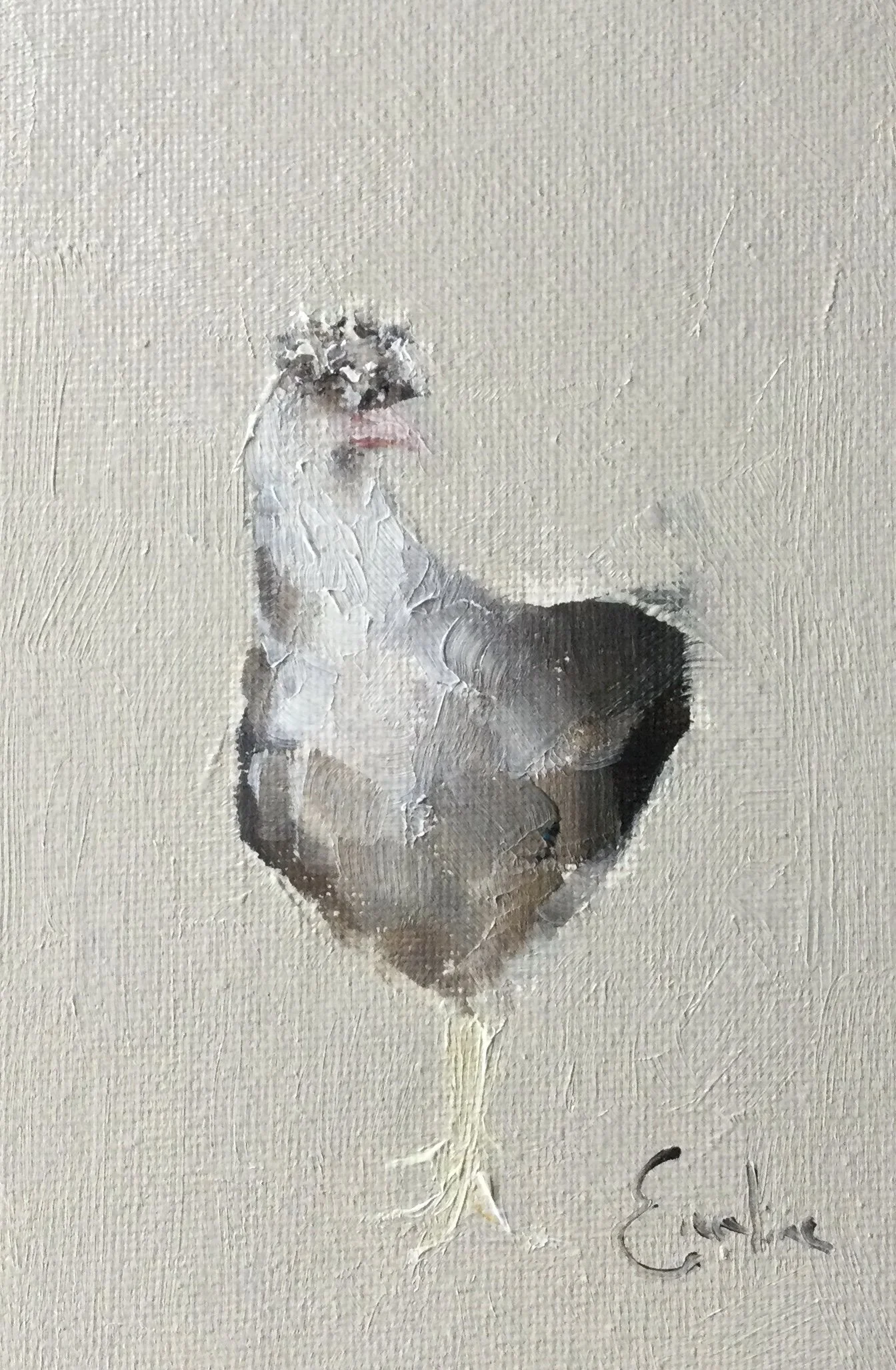 Cotswold Blue Legbar.jpg