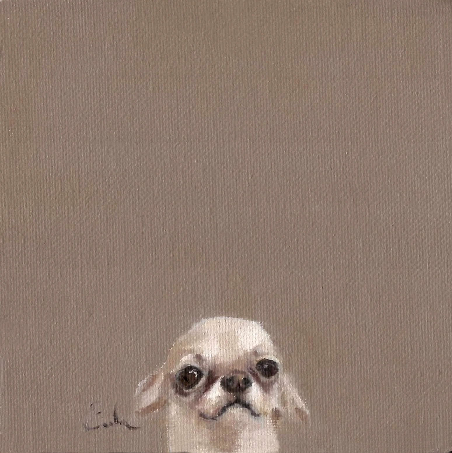 Greetings Card - Big Chihuahua
