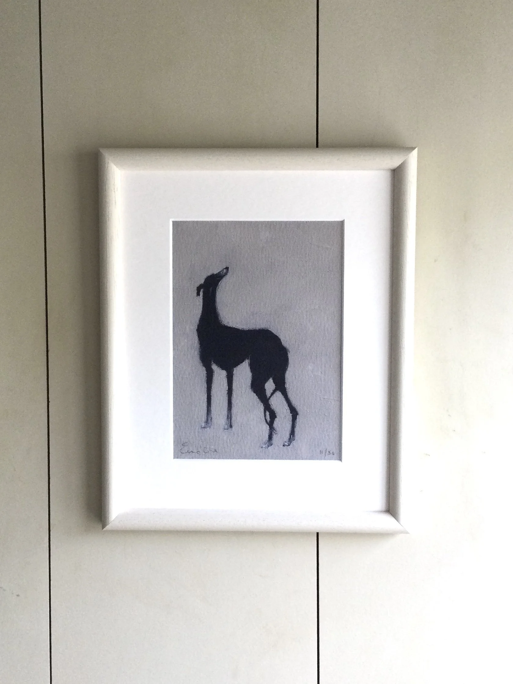 Framed Limited Edition Print - Pip
