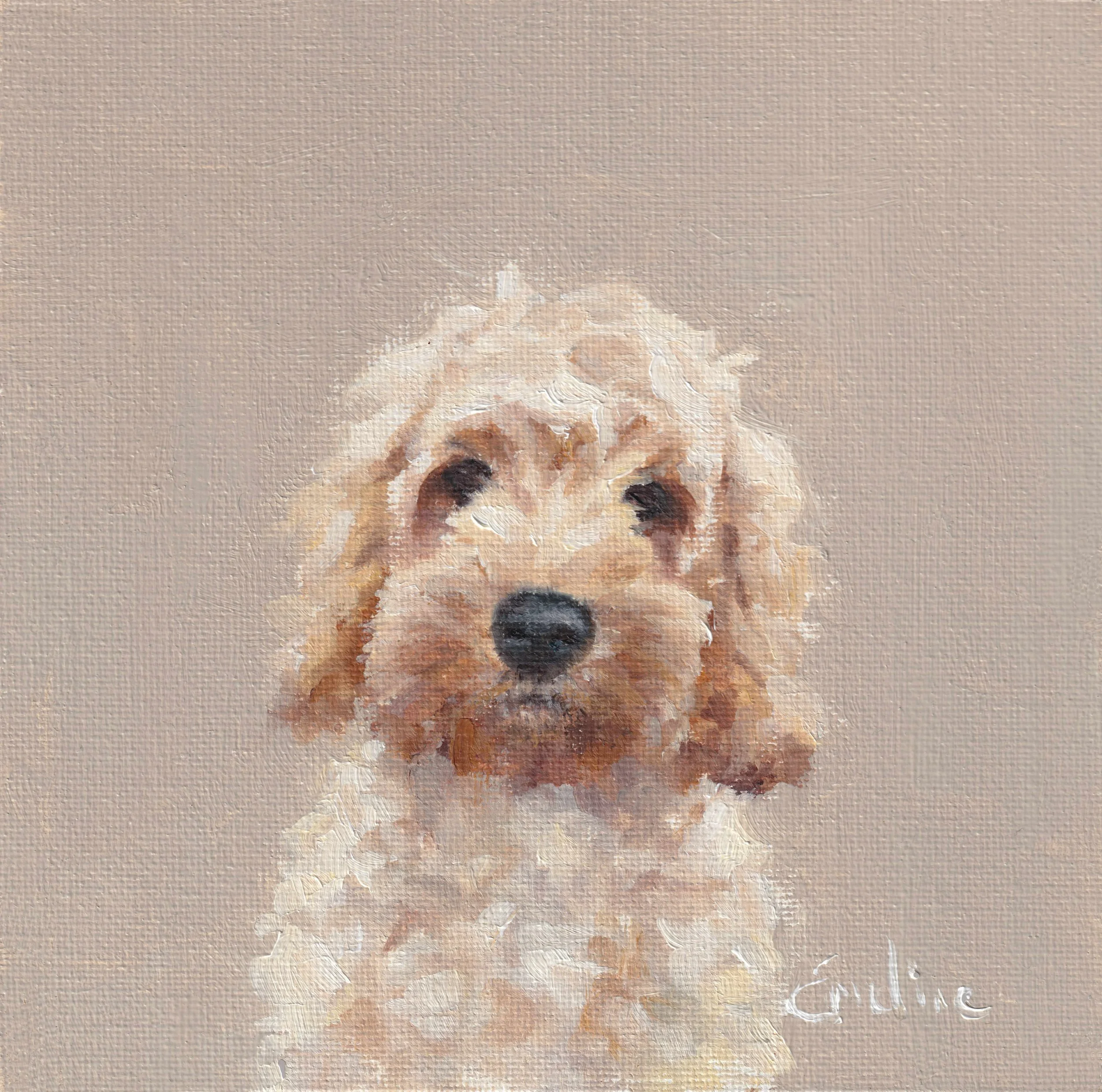 Greetings Card – Daisy
