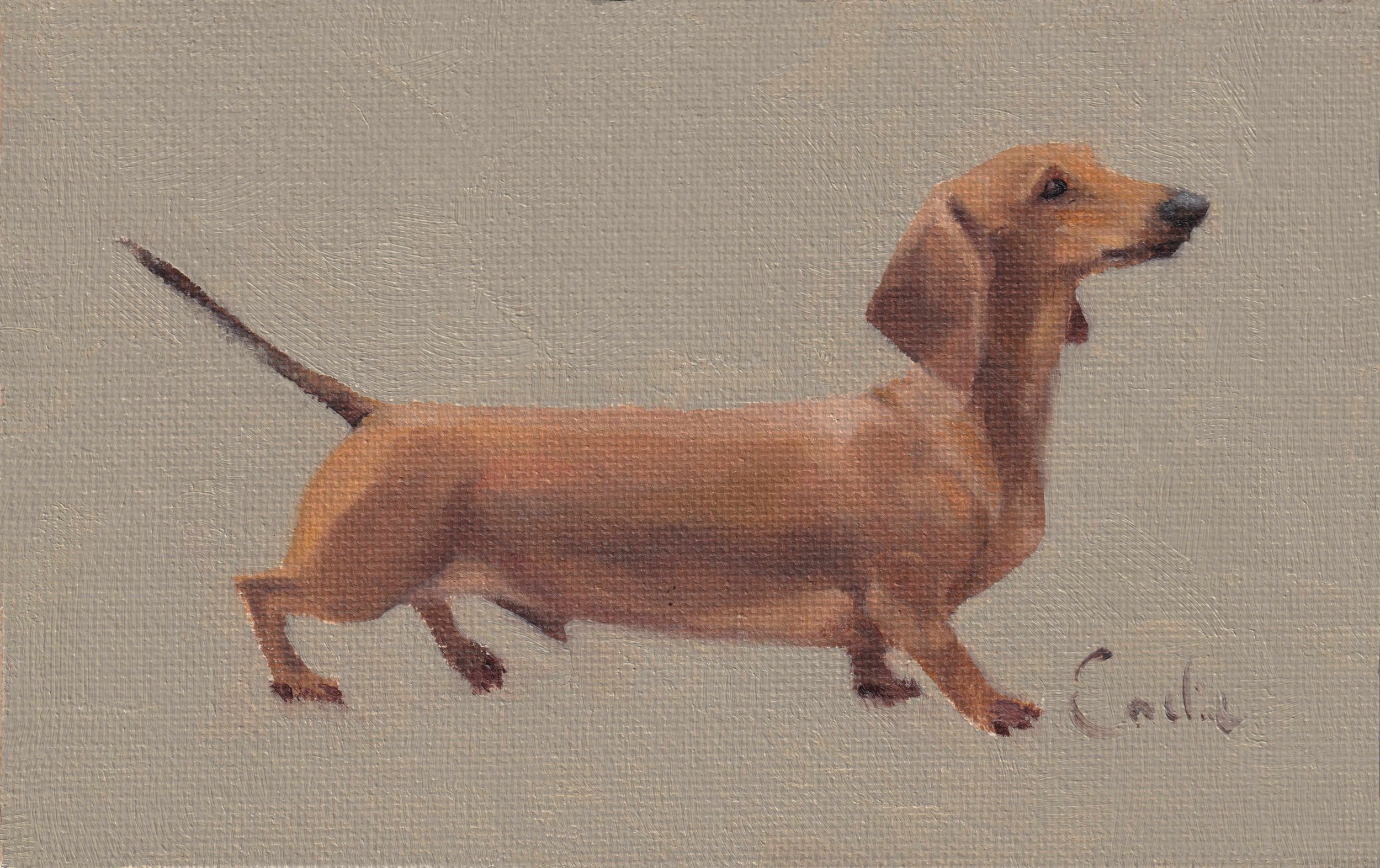 Greetings Card - Cooper