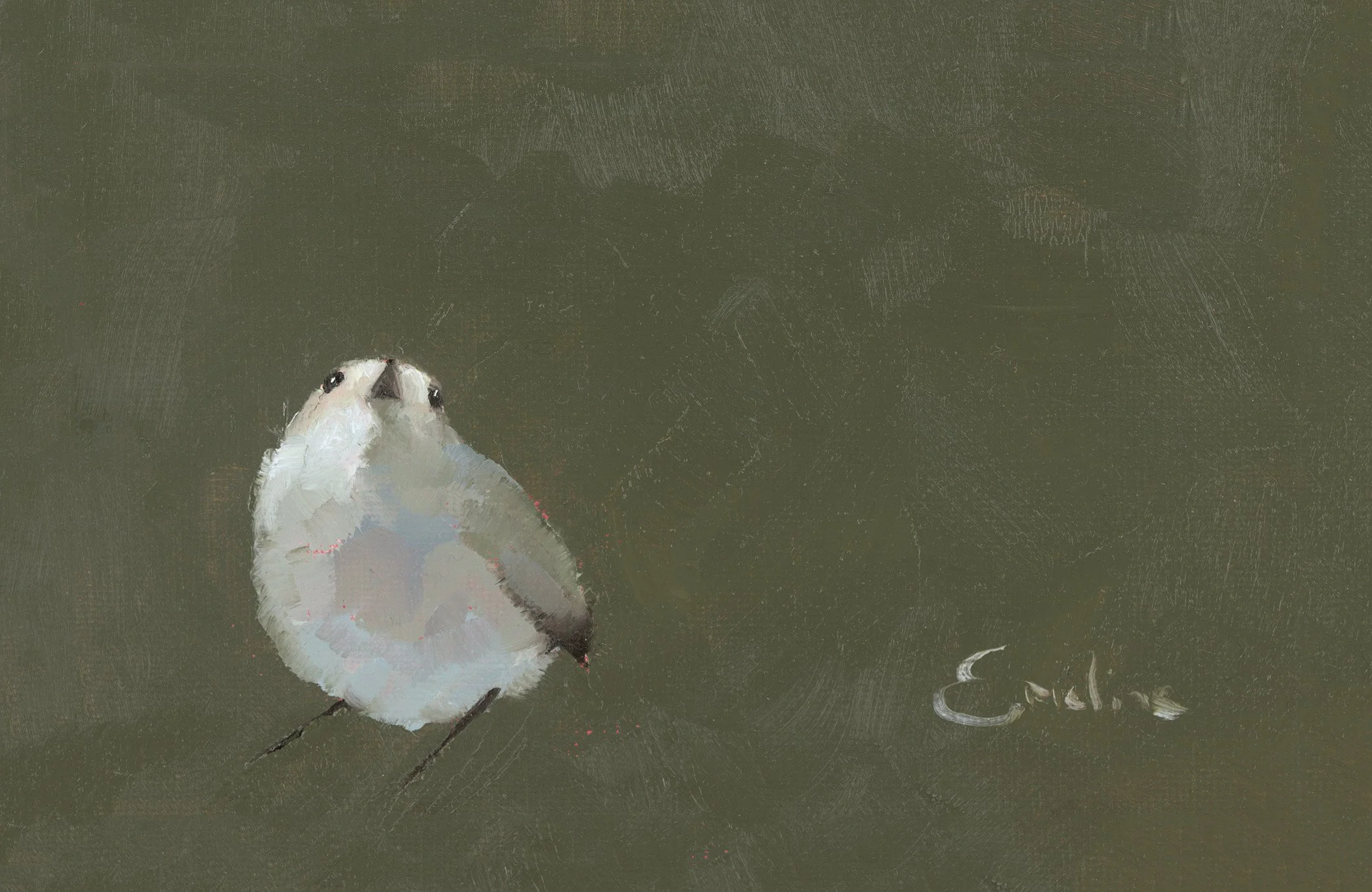 Greetings Card – White Bird