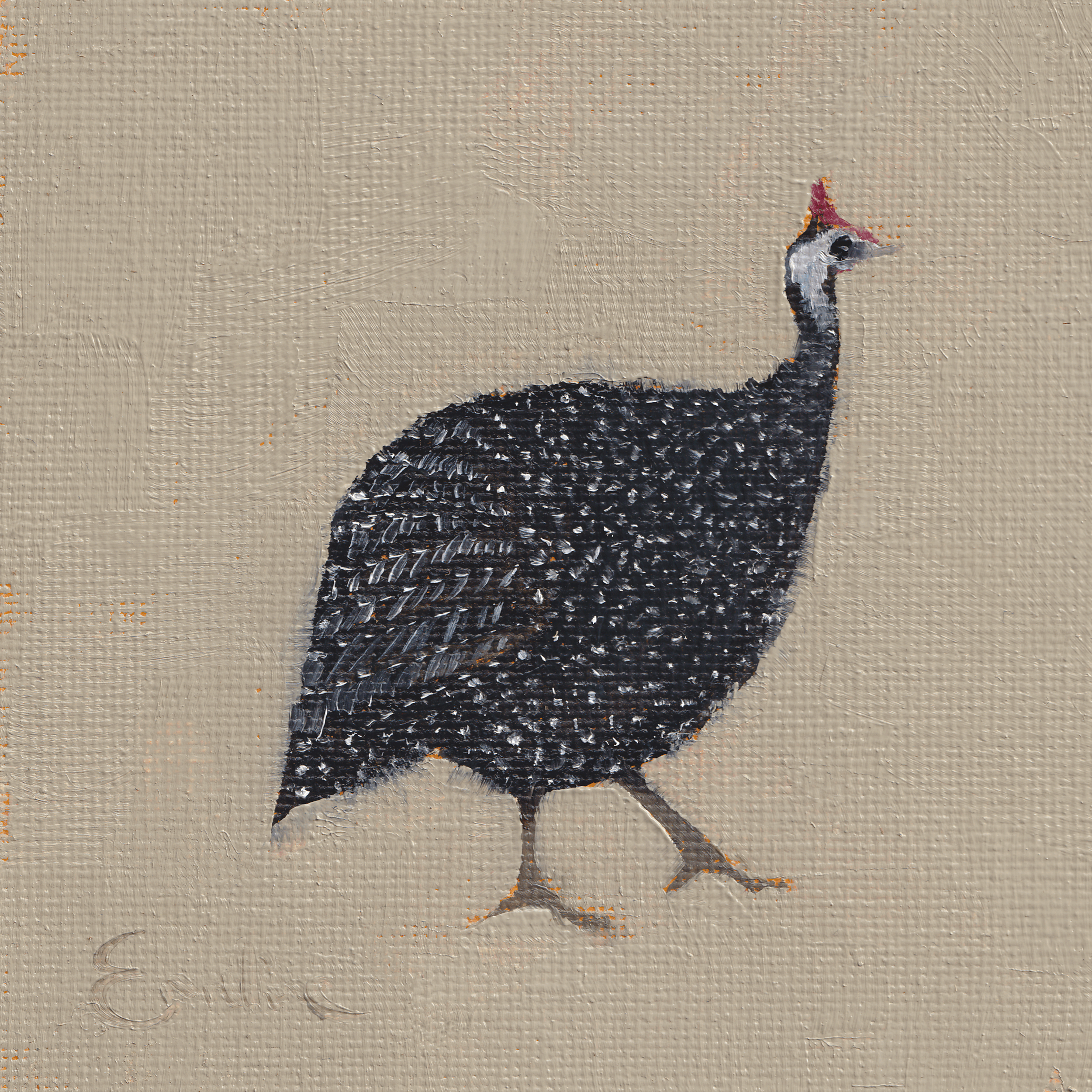 Greetings Card - Guinea Fowl