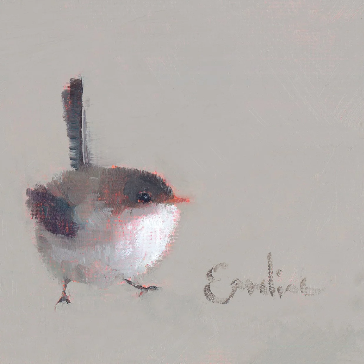 Greetings Cards - Little Fairy Wren
