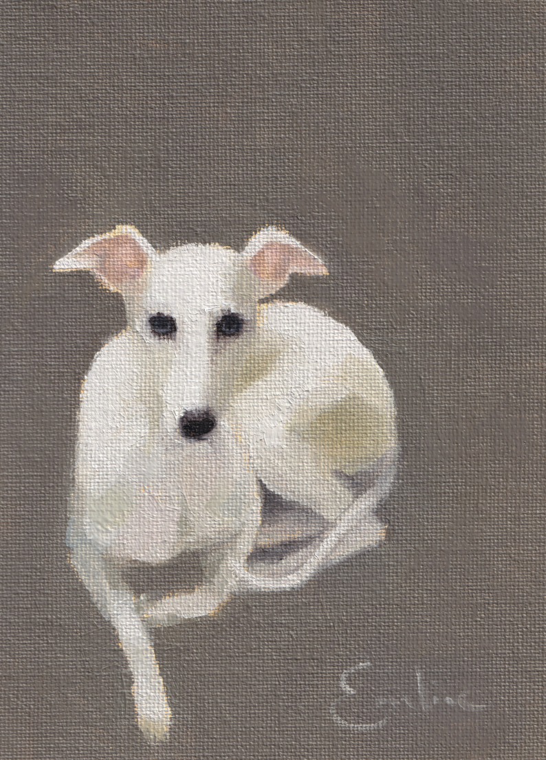White Whippet .png