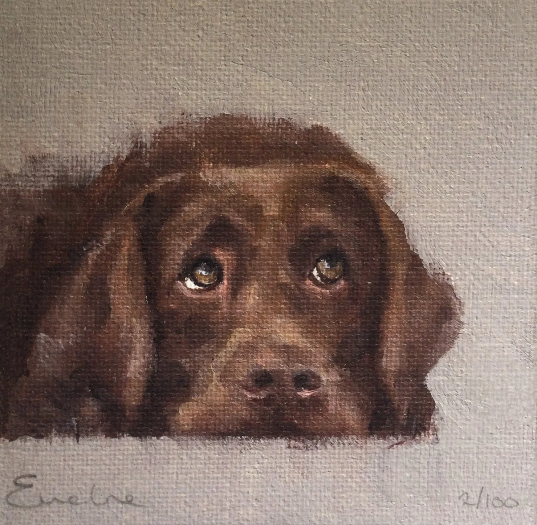 Greetings Card - Chocolate