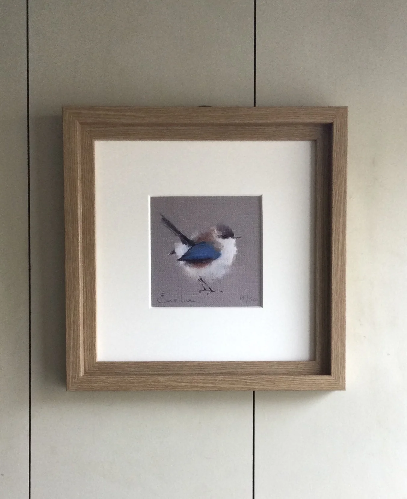 Framed Limited Edition Print - Winter Fairy Wren