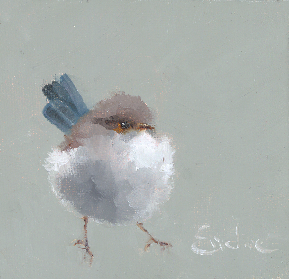 Fluffy Fairy Wren .png