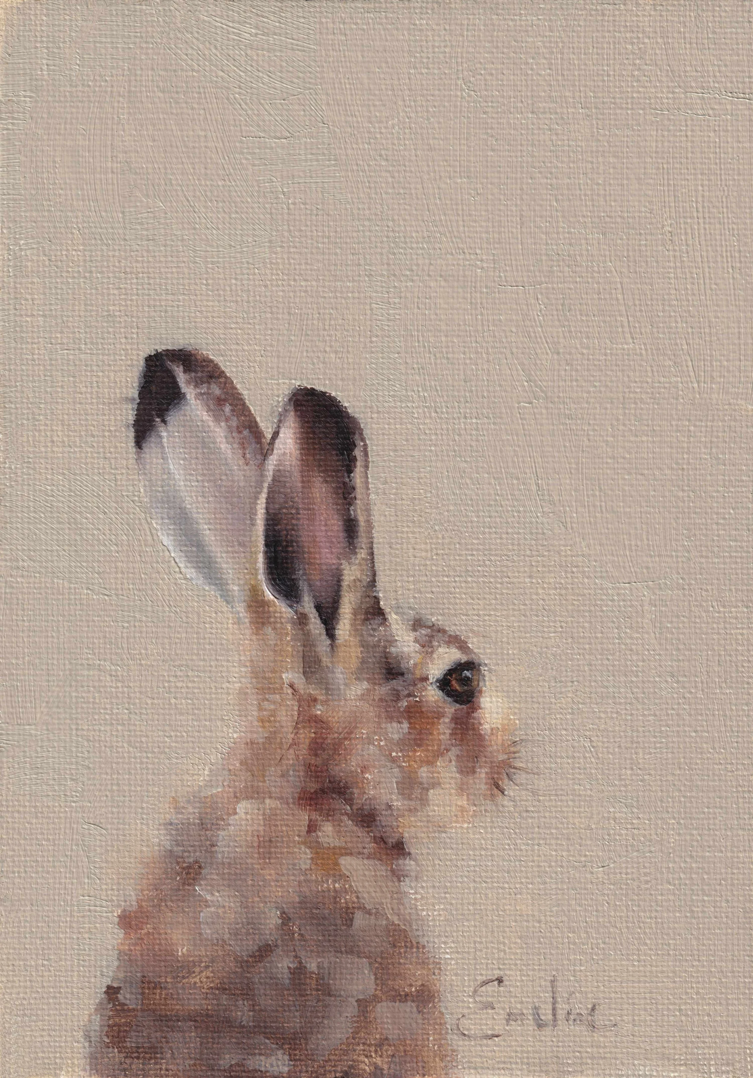 BN005 Quiet Brown Hare 6x4P low res .jpg