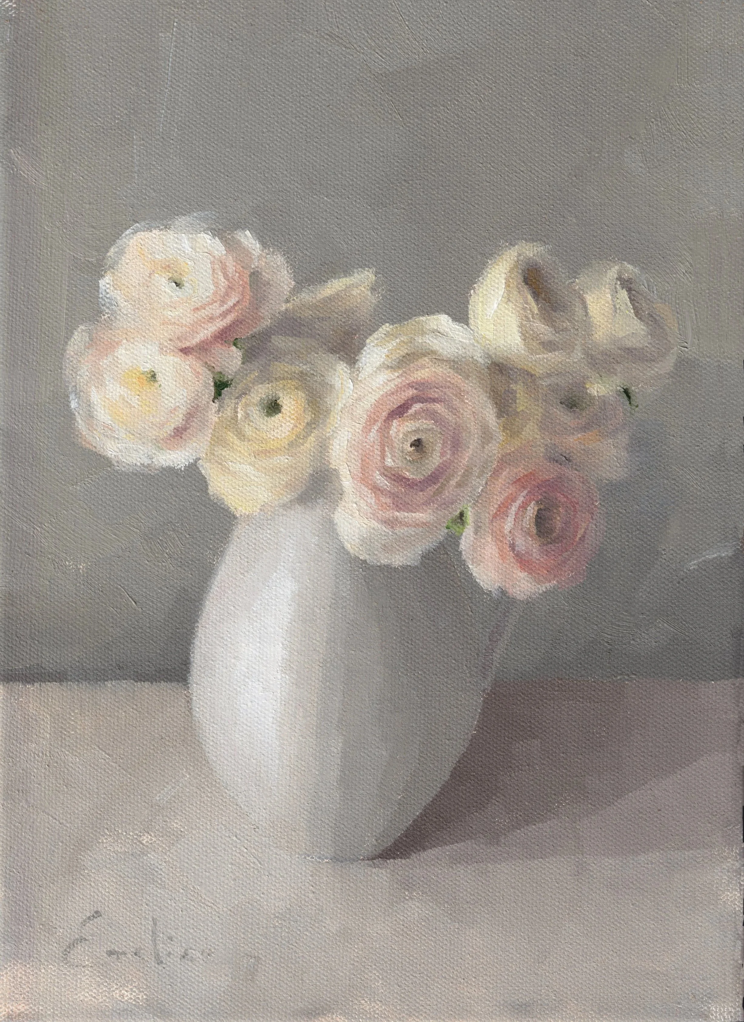 FL038+Pink+Ranunculus+in+the+Studio.jpg