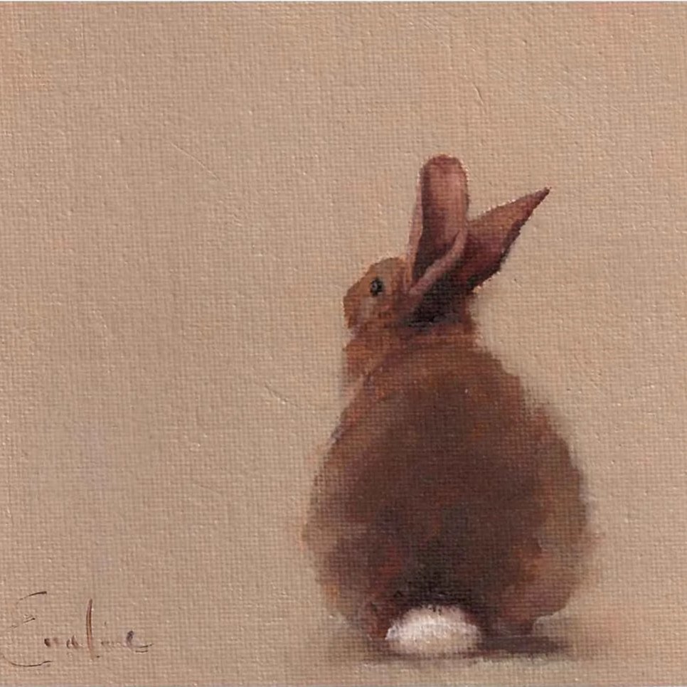 Greetings Cards - Bunny (Pack of 3)