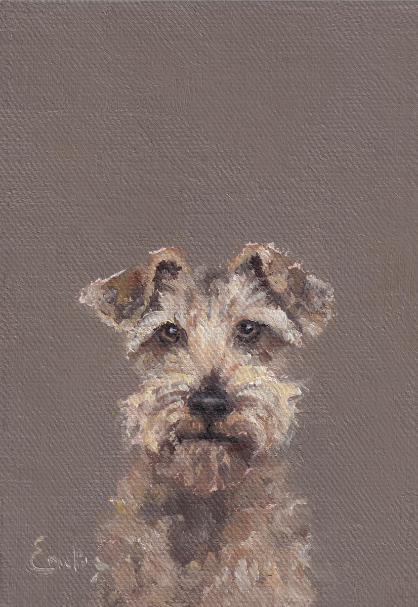 Shaggy Dog DS017.png