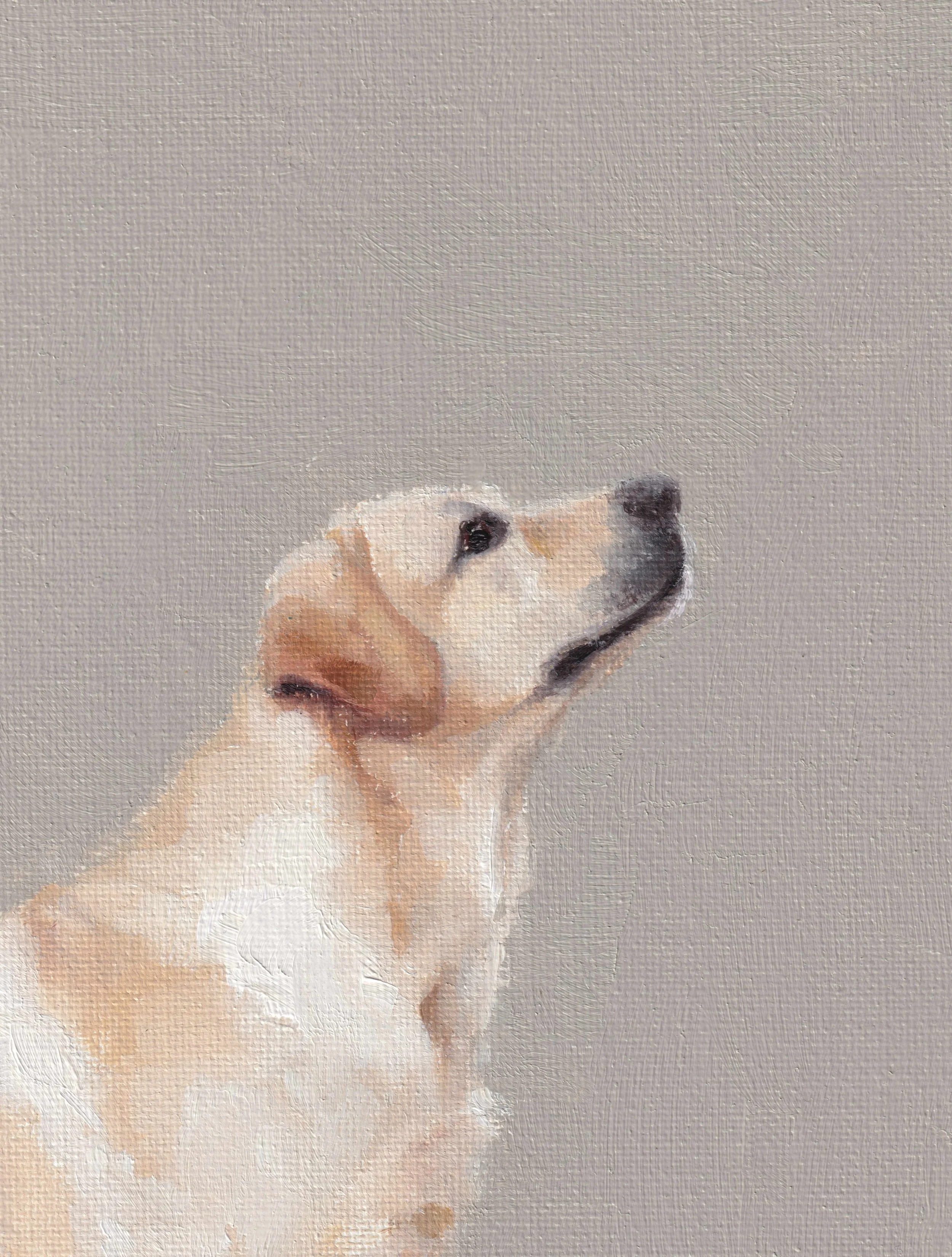 DS048 Honesty 5x7 .jpg
