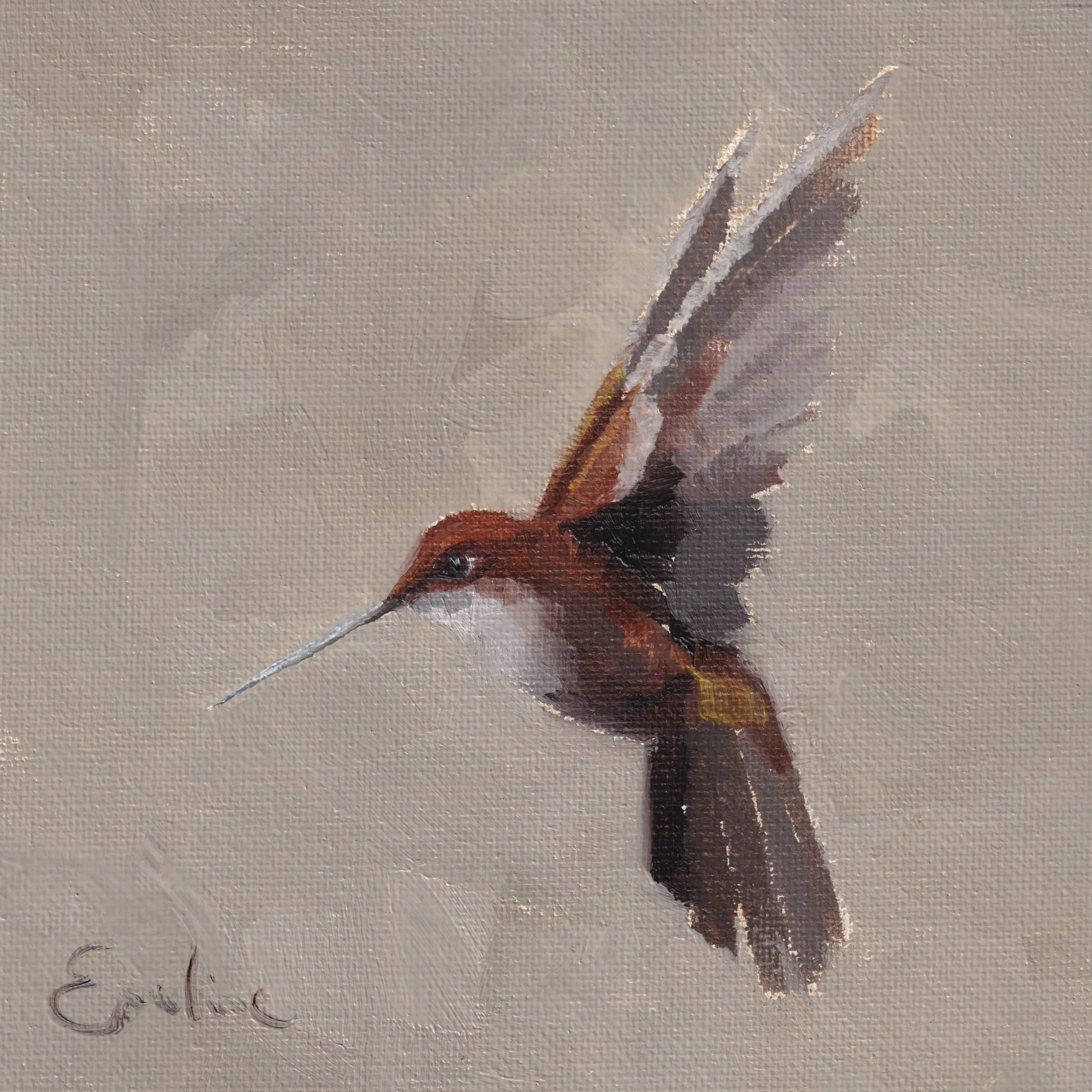 BD027 Hummingbird II 6x6 .jpg