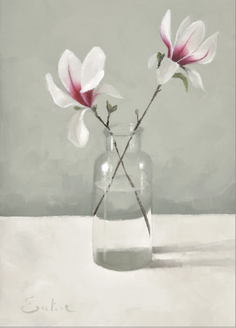 FL027 Magnolia from the Front Garden.png