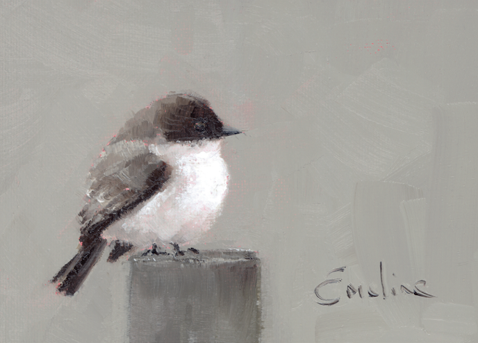 Screenshot BD020 Eastern Phoebe 2025-05-20 at 14.22.24.png