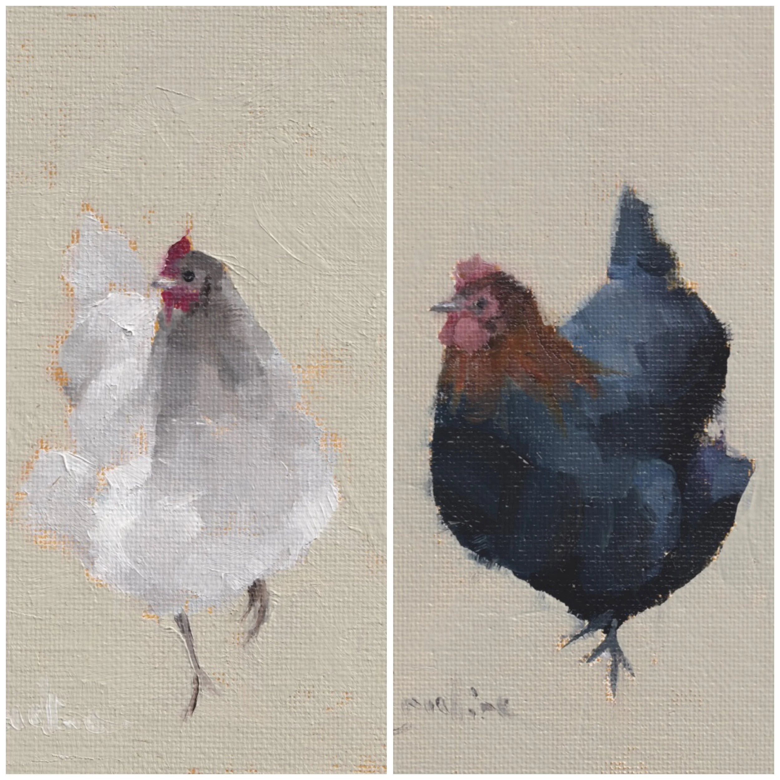 Greetings Cards - Pack of 6 - 3 White Chicken and 3 Black Chicken