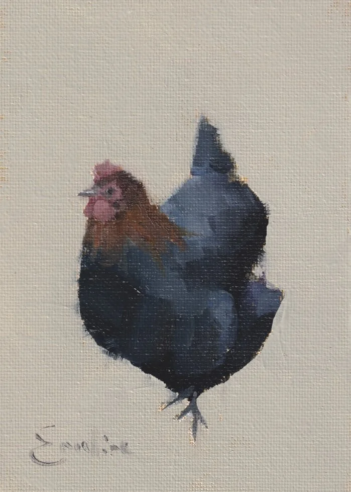 Greetings Card - Black Chicken
