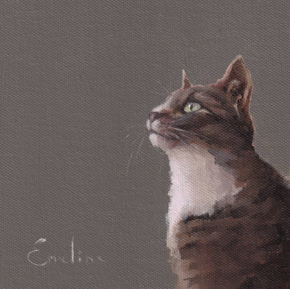Screenshot CT002 Tabby Cat 2025-05-12 at 20.24.38.png