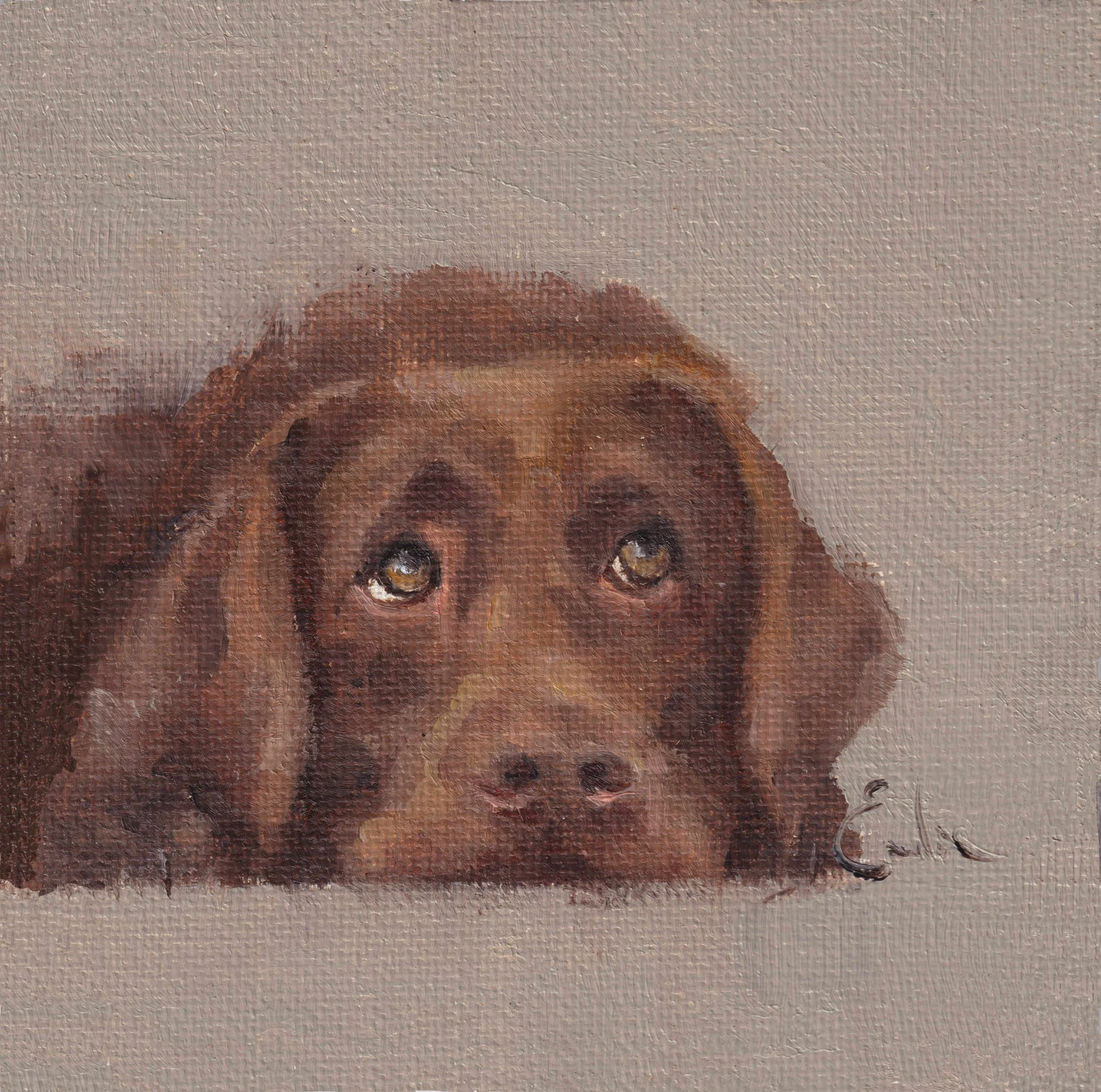 DS046 Chocolate 6x6 .jpg