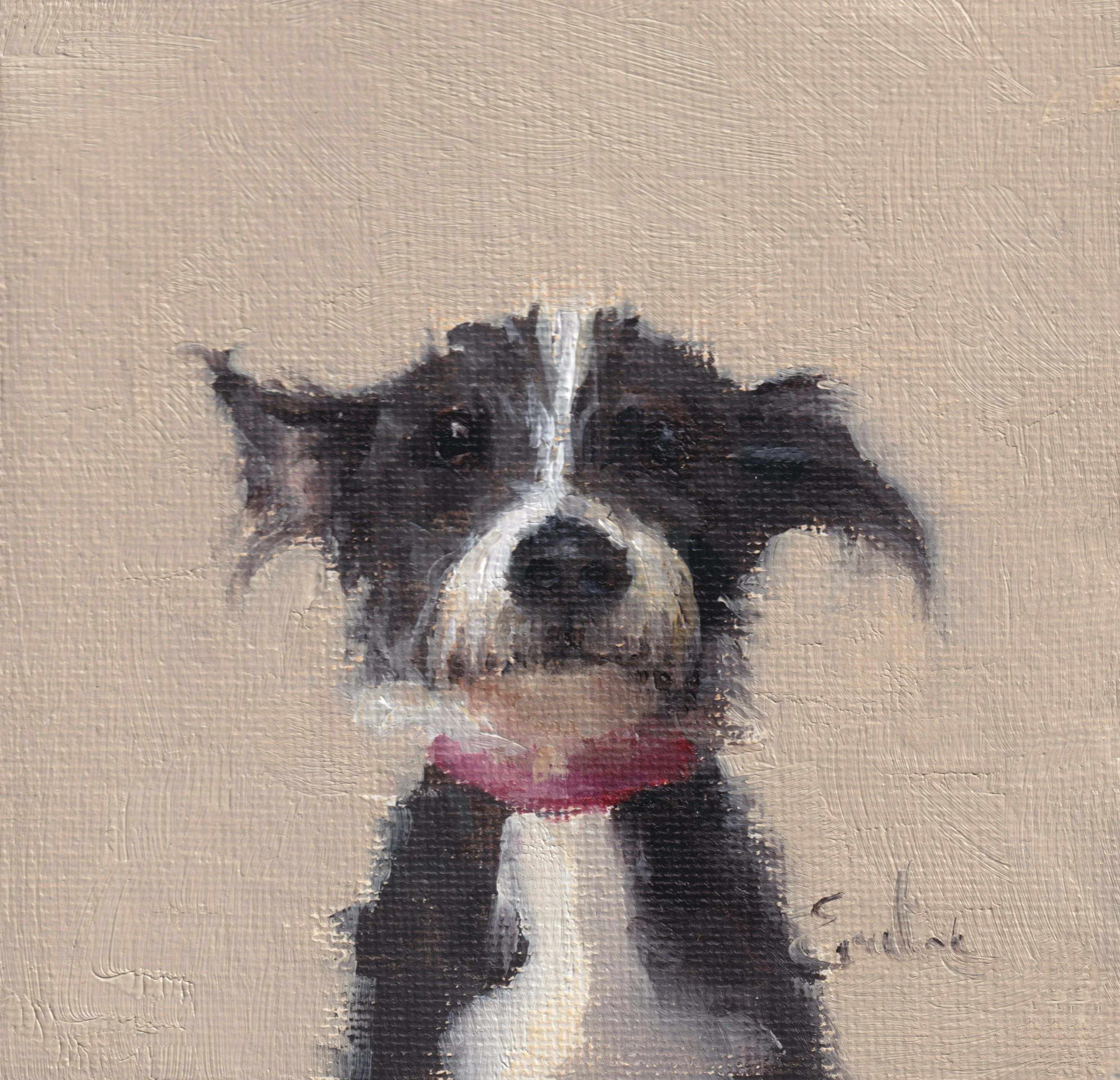 DS034 Scruffy Puppy 4x4 II.jpeg.jpg