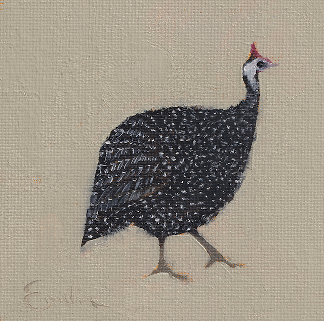 Screenshot BD016 2025-05-20 at 14.25.50.png