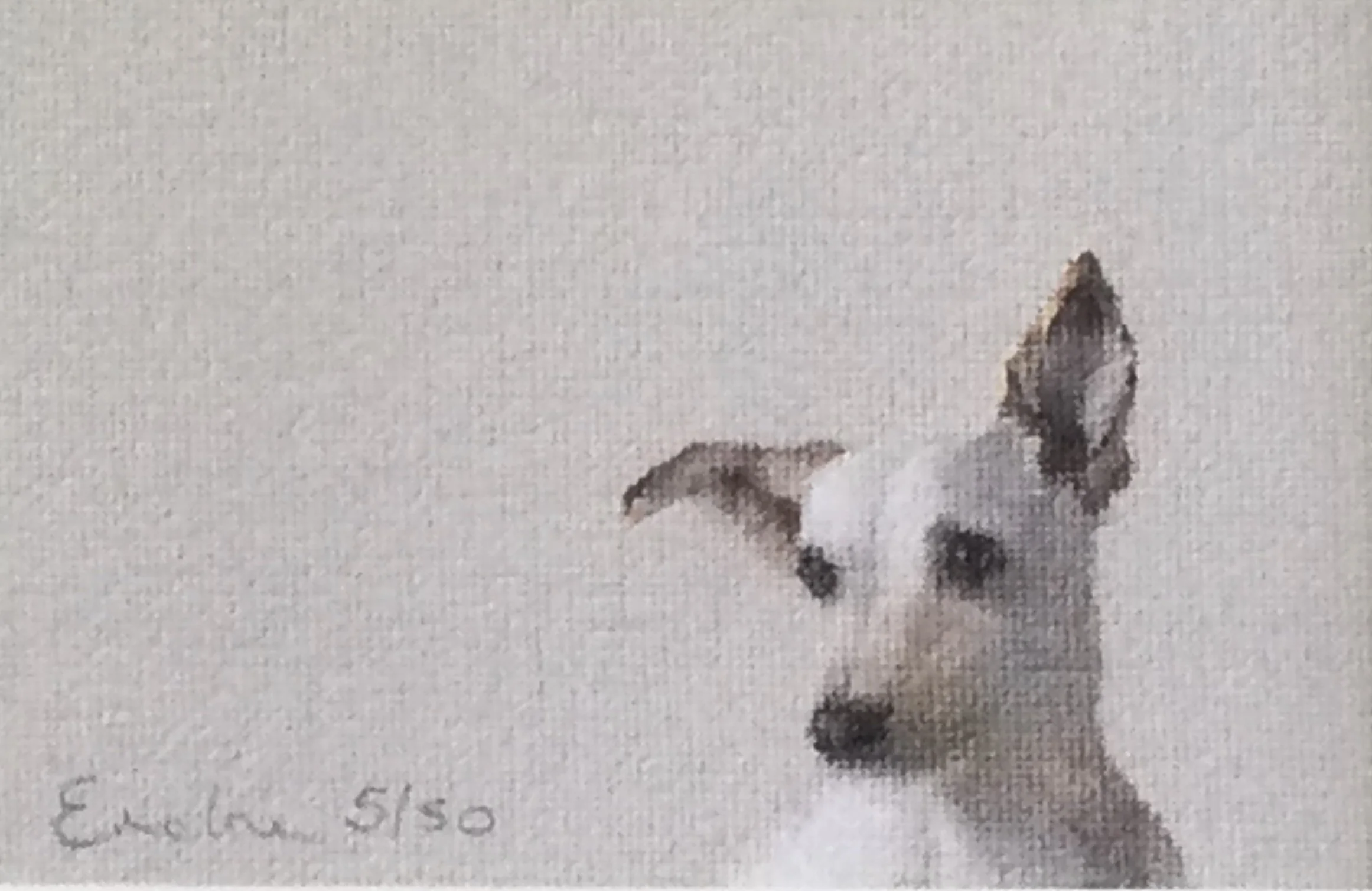 Little Terrier.jpg
