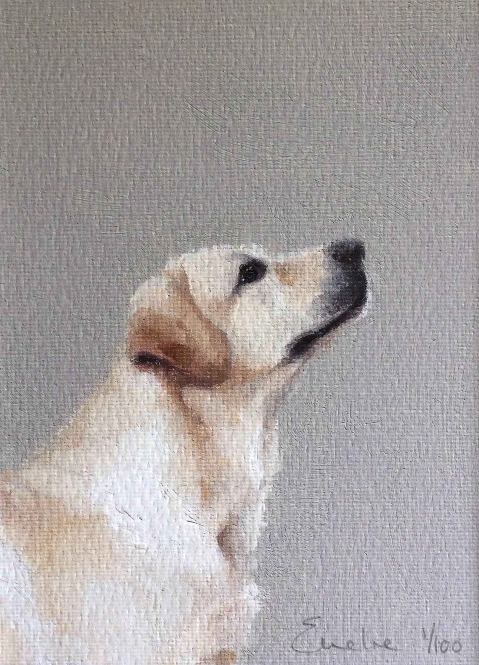 Greetings Card - Honesty
