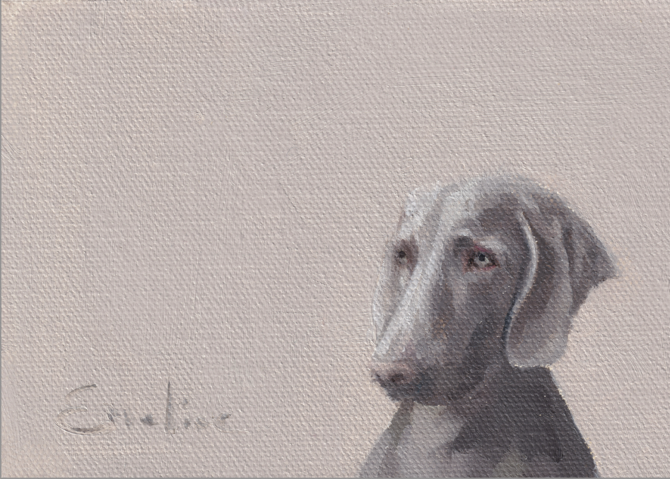 Screenshot DS011 Weimaraner 2025-05-01 at 10.42.21.png