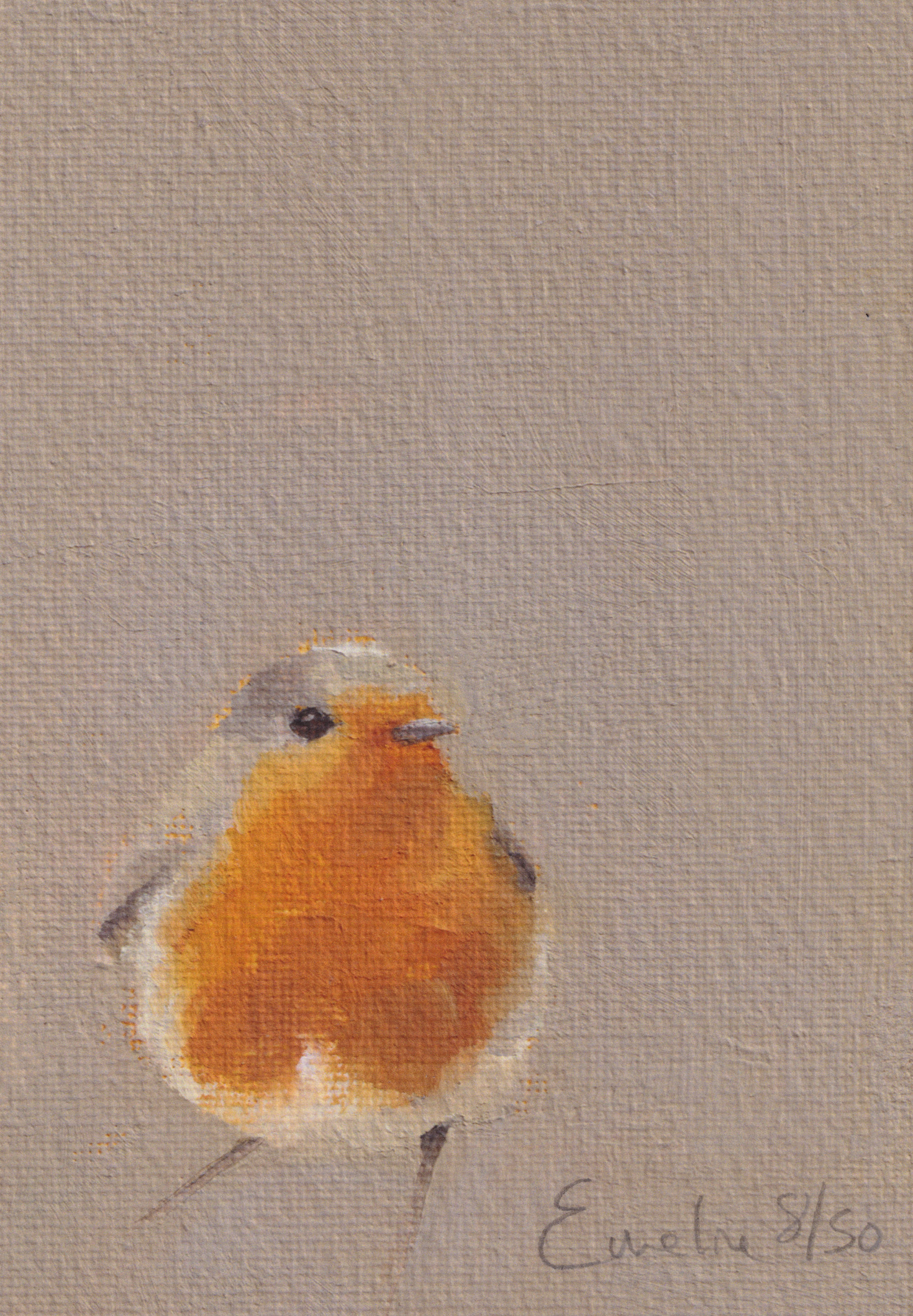 Winter Robin.png