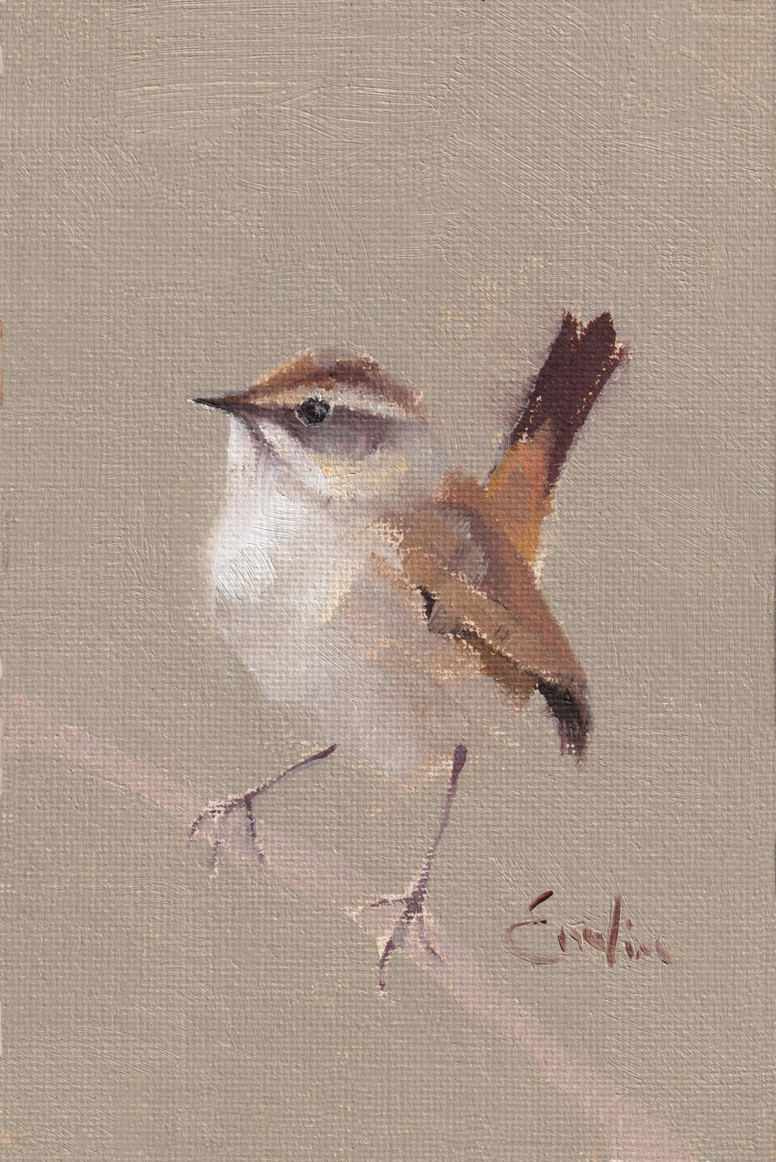 Greetings Card - Winter Wren